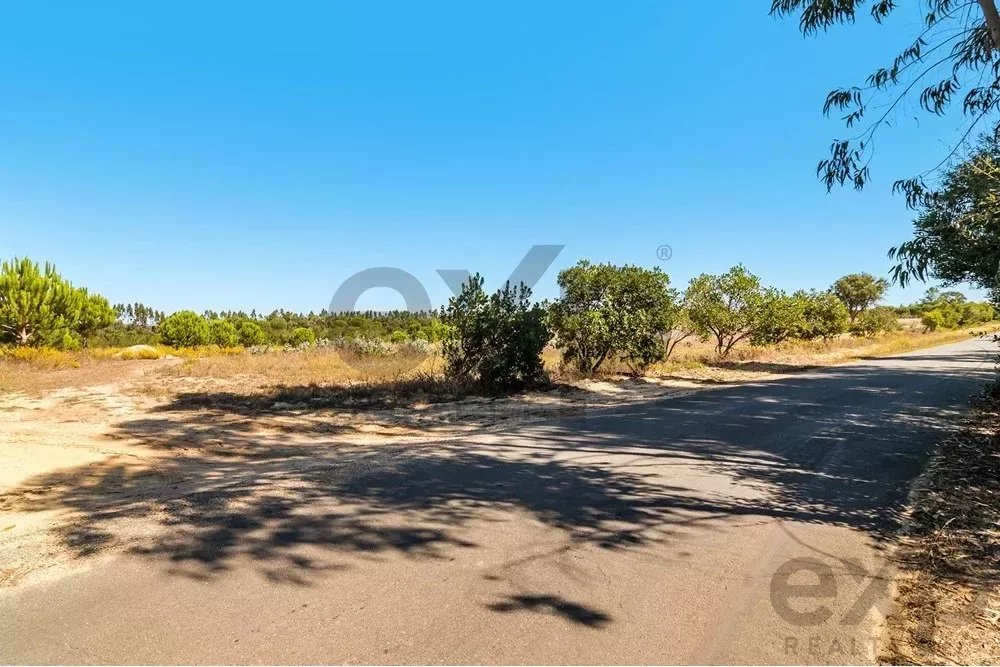 Unmissable Investment in Odemira 85507464 image 16