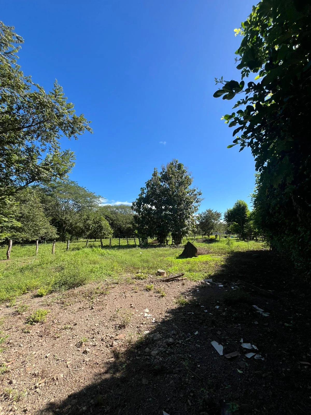 Sale Plot of land Santa Cruz