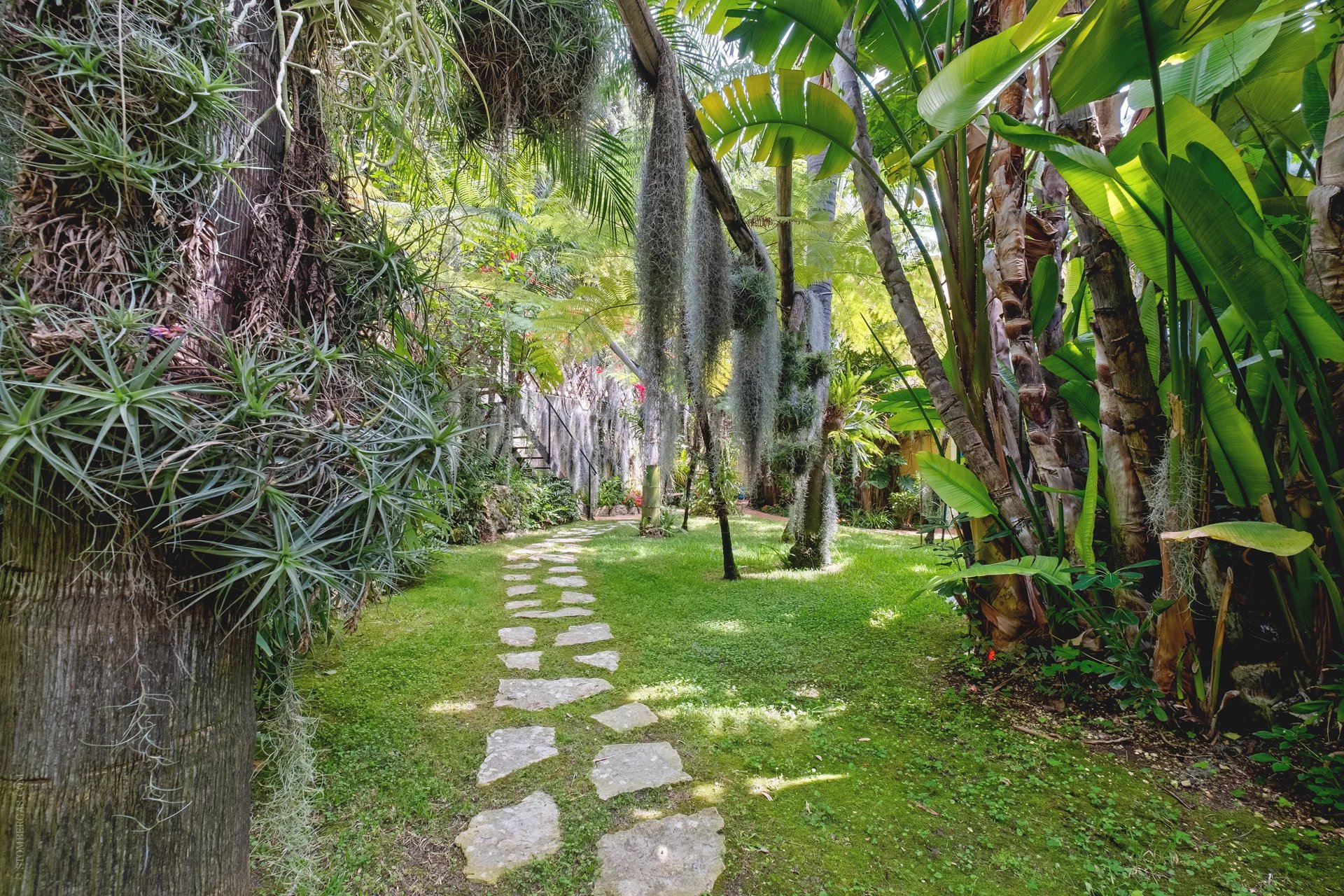 Magnificent property in an exotic garden