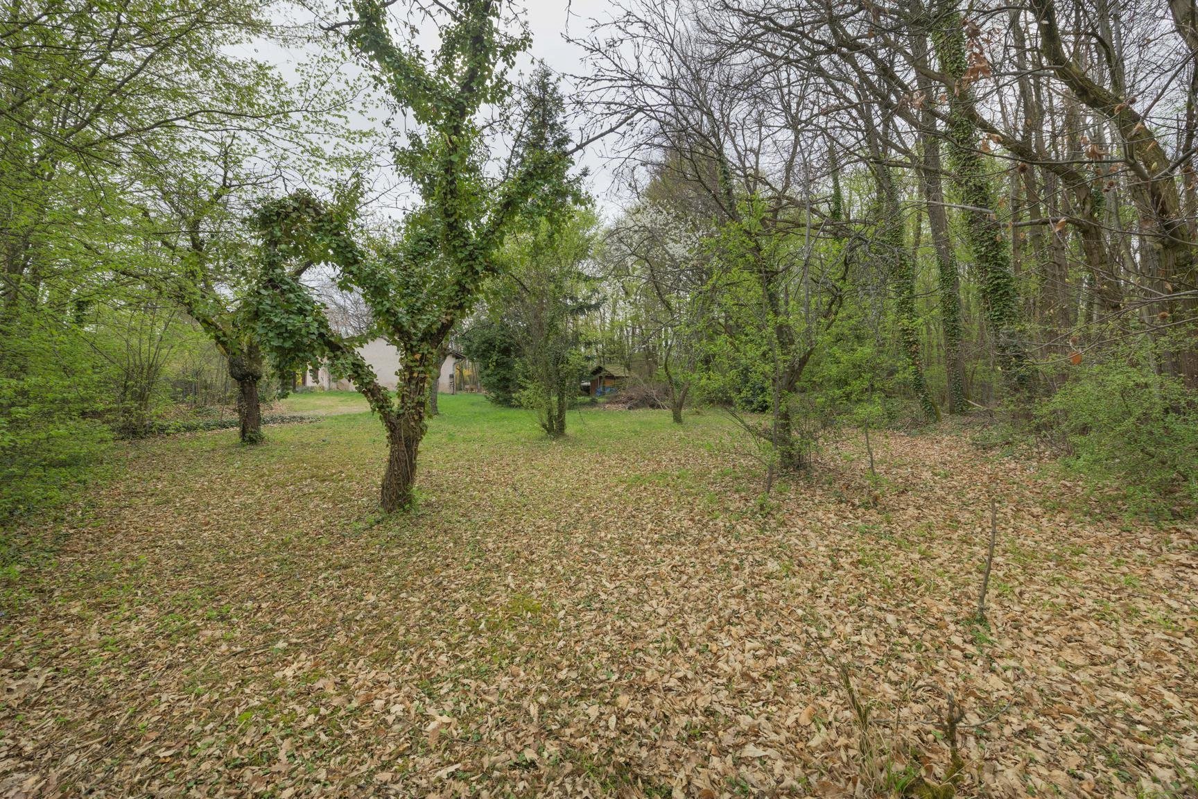 Petite maison sur parcelle arborée de 3470 m²