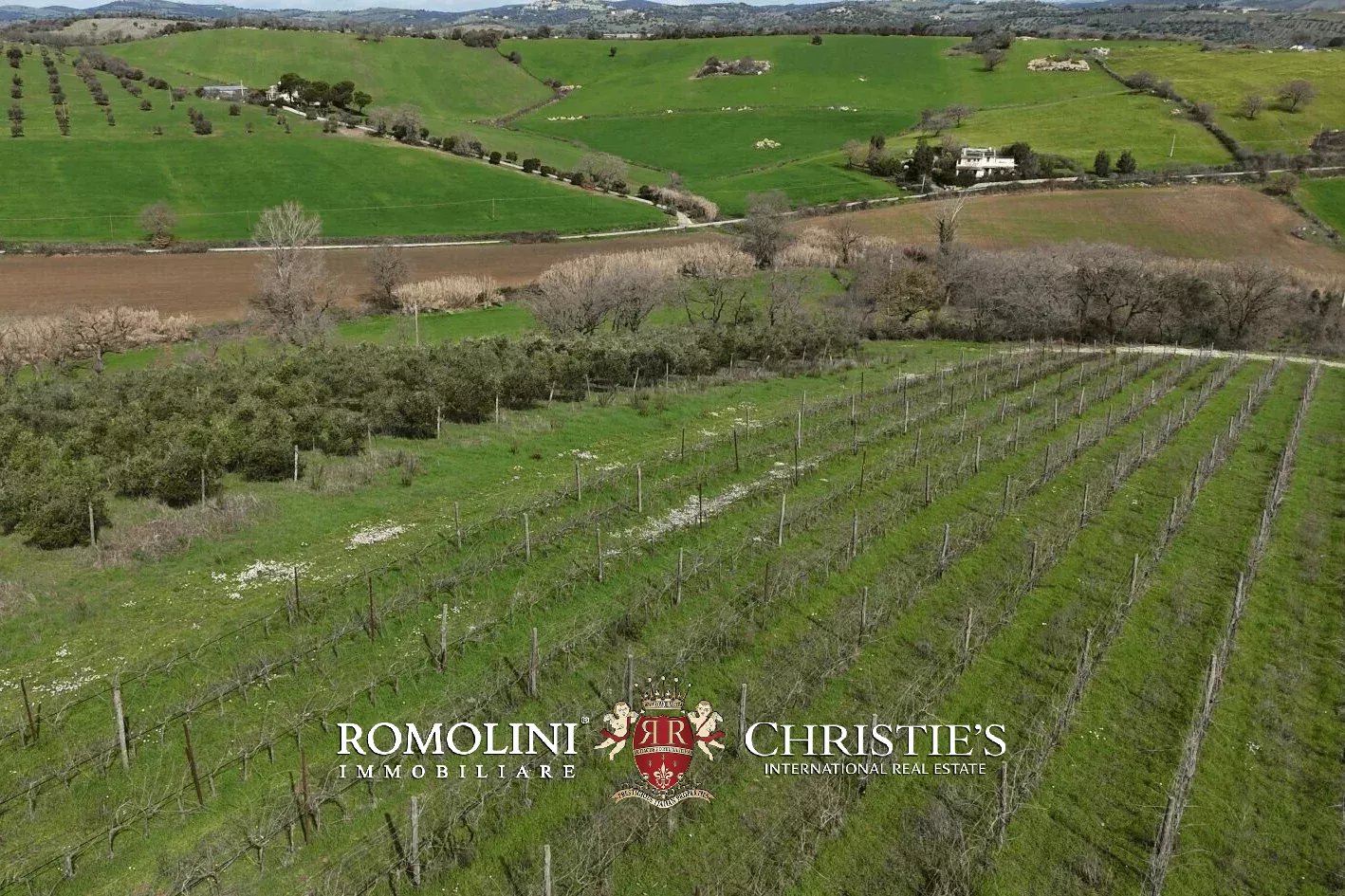 3 Bedroom Vineyard's Image 26