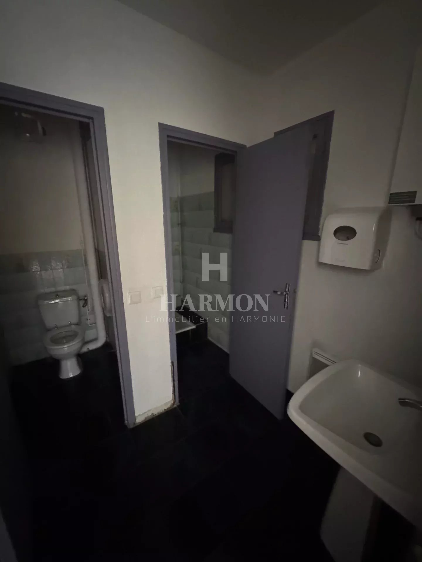 Harmon à vendre – Ensemble immobilier à Serres-Castet (64121) - Photo 4