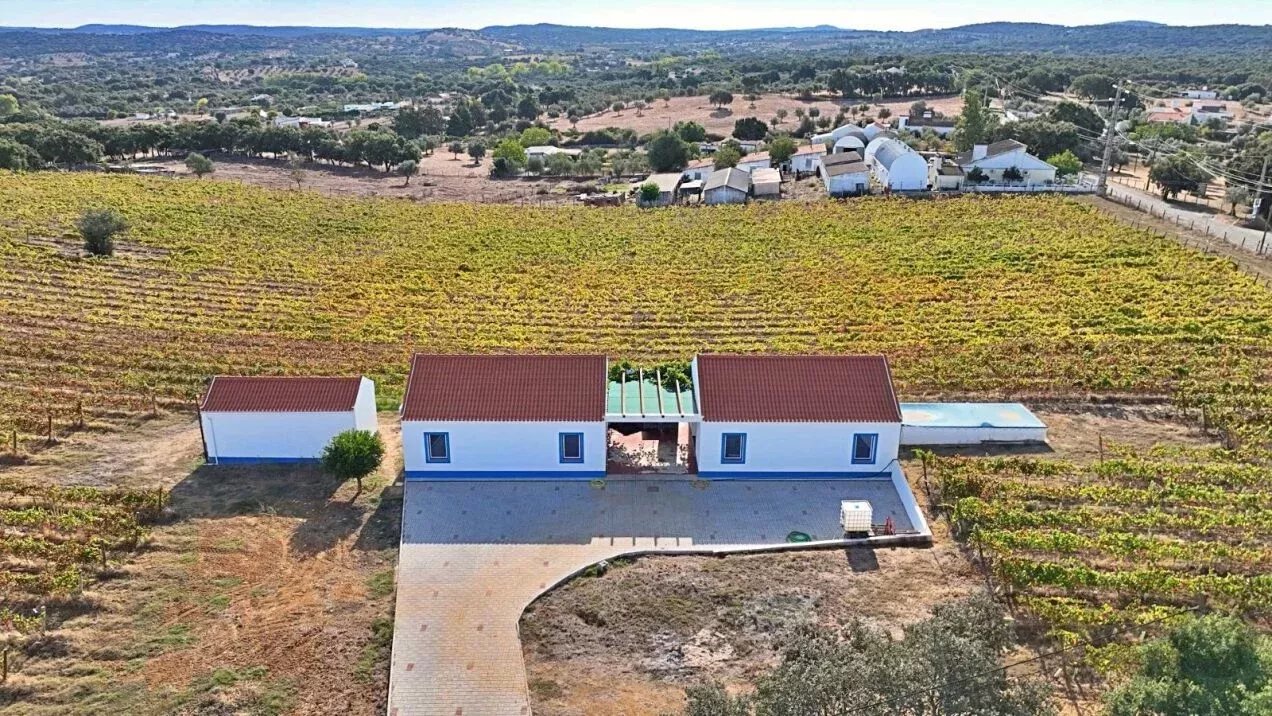 Prestigious Wine Estate – DOC Alentejo Wine Production 7050-000 image 1