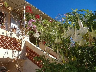 Agence immobilière de BEP LOGEMENT