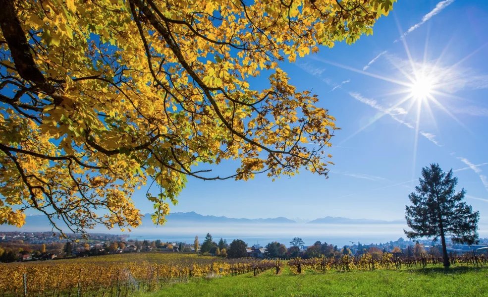 Sale House Nyon