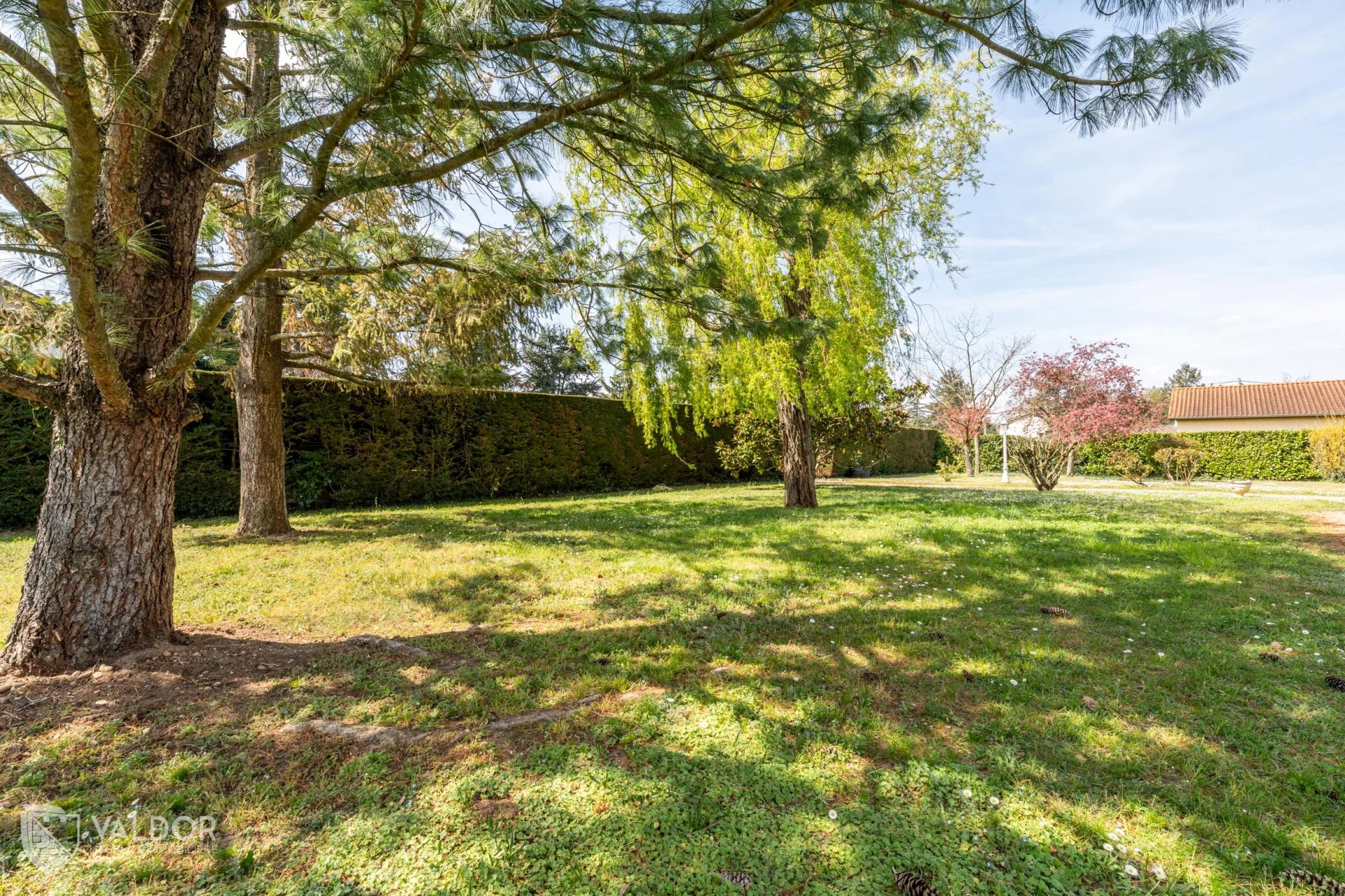 Parcelle plate et arborée de 891 m²