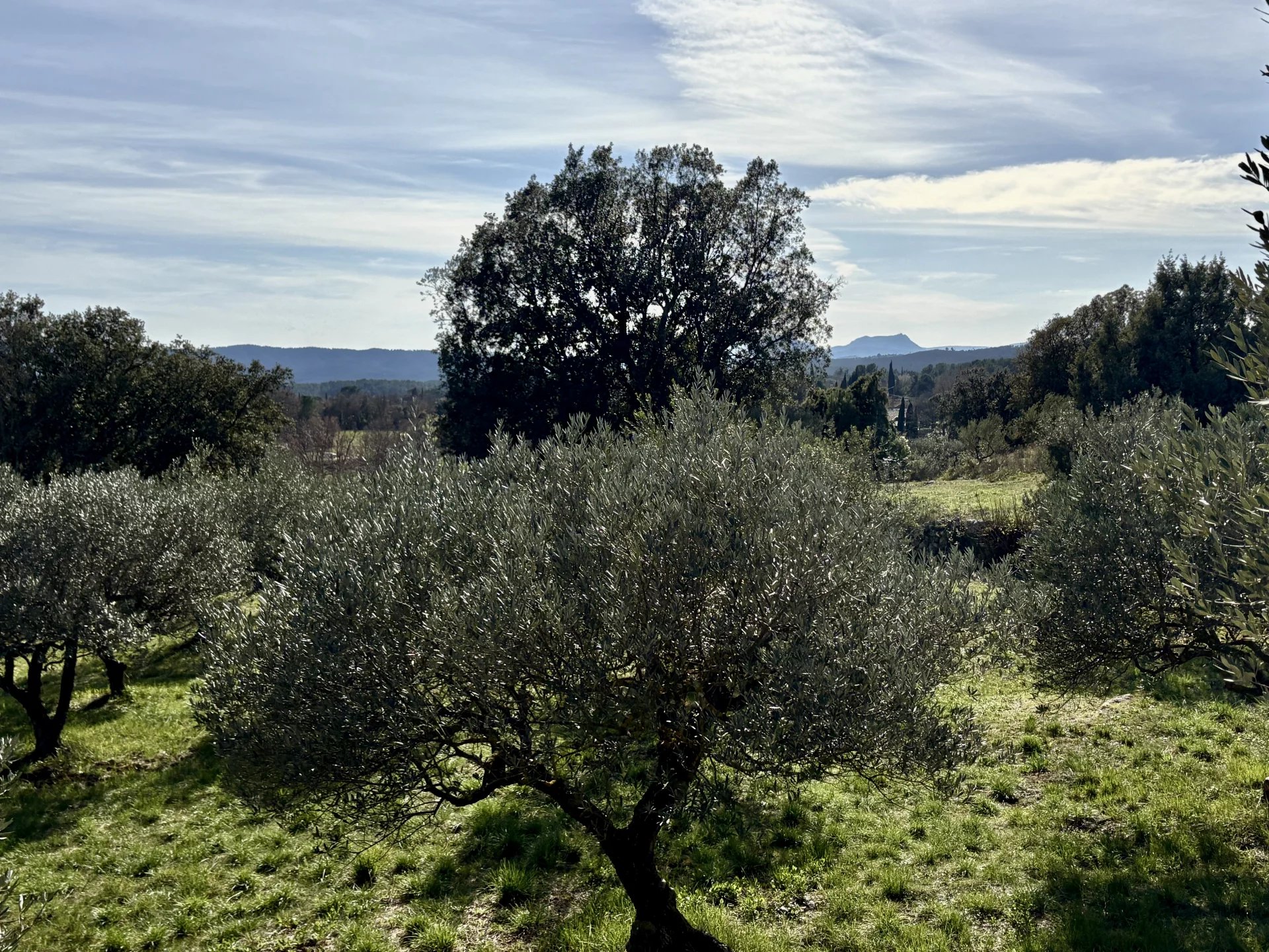 Sale Building land Cotignac