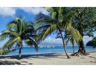 3.ilets / Anse à L' Ane T1 meublé avec piscine à 150 m de la plage