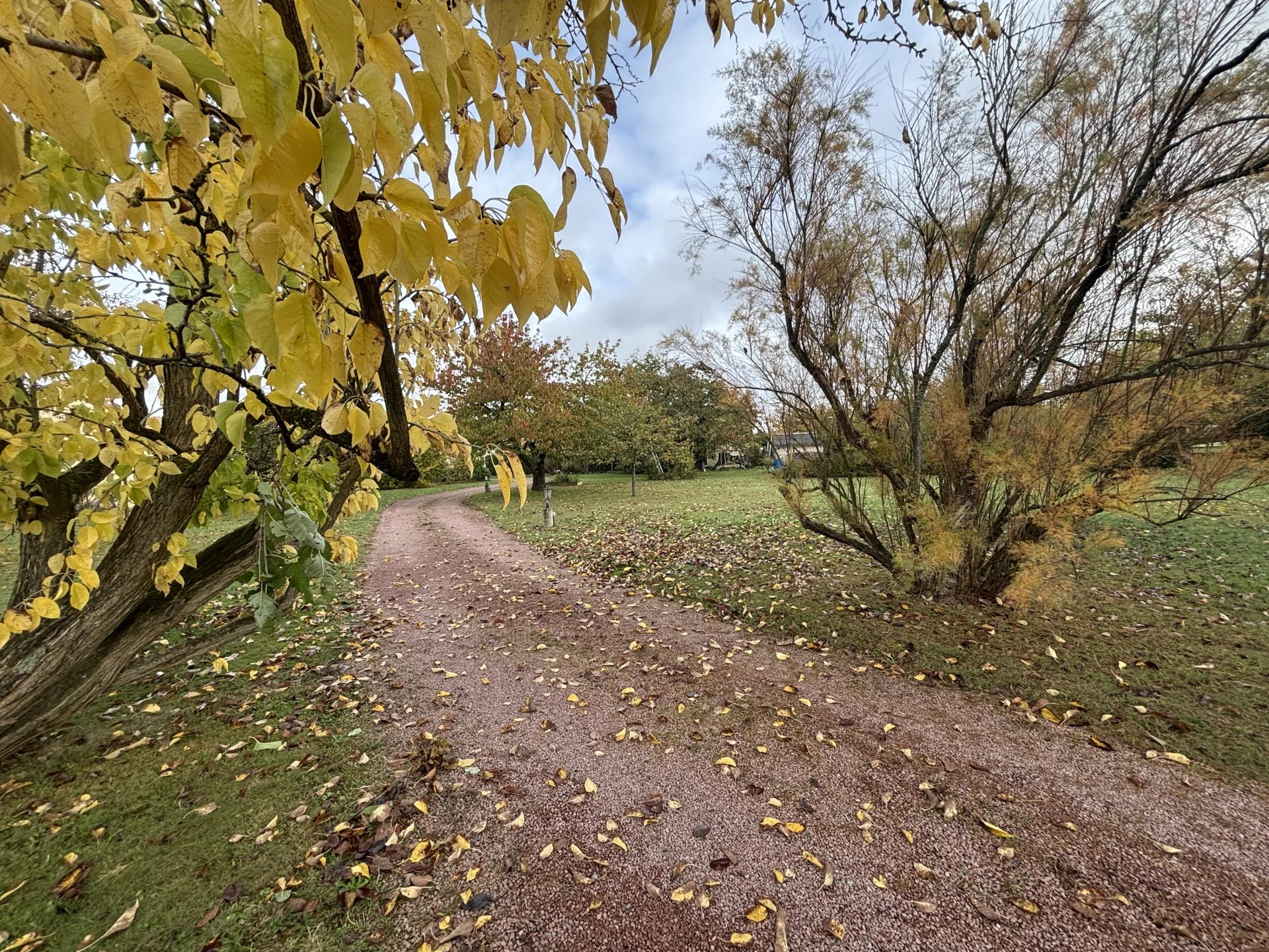 Vente Terrain constructible Connerré