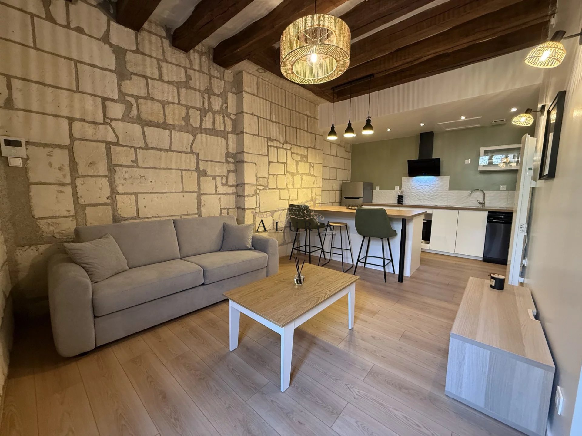 Appartement à louer Tours