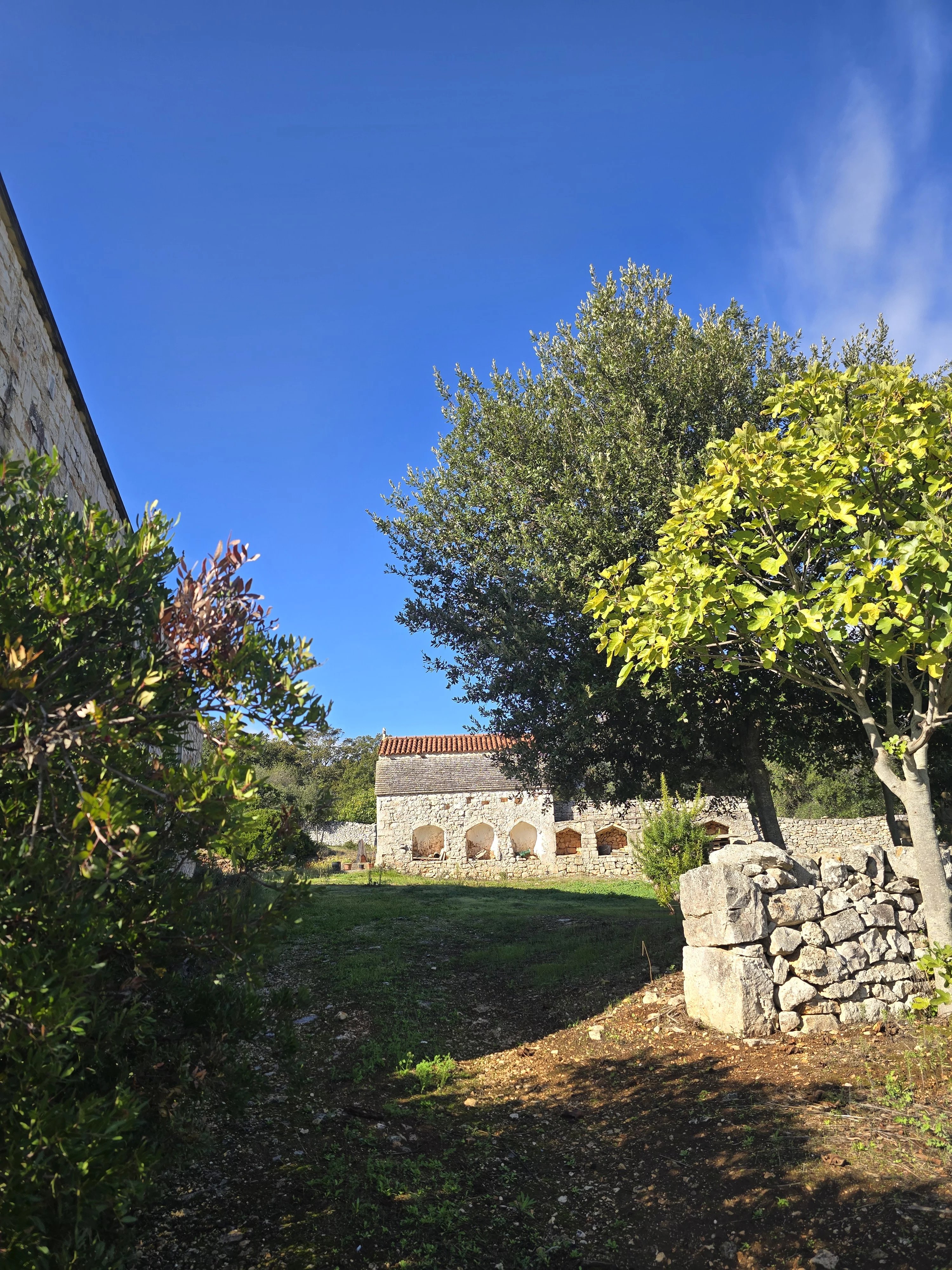 Venta Granja Ceglie Messapica