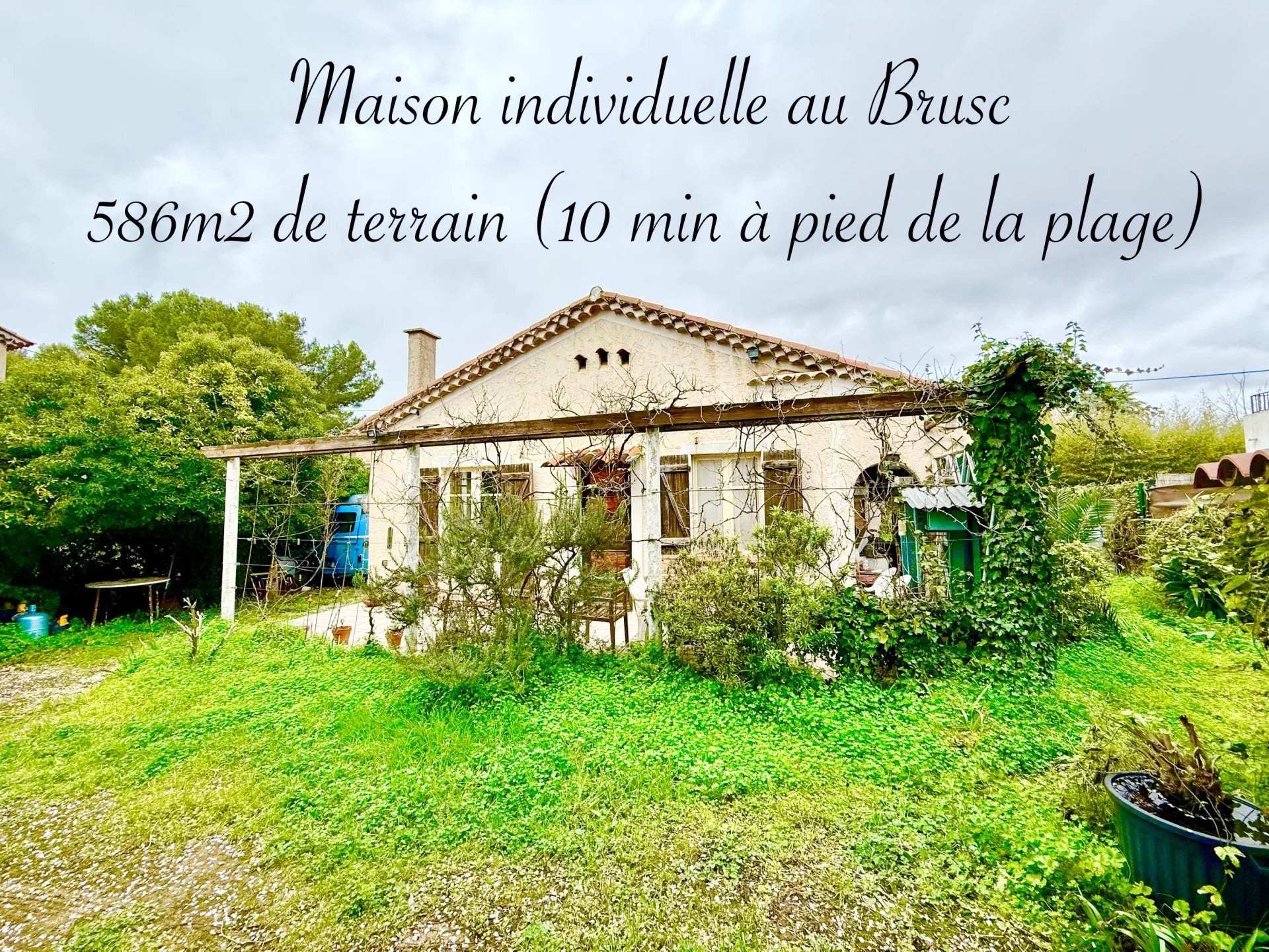 Agence immobilière de Tako