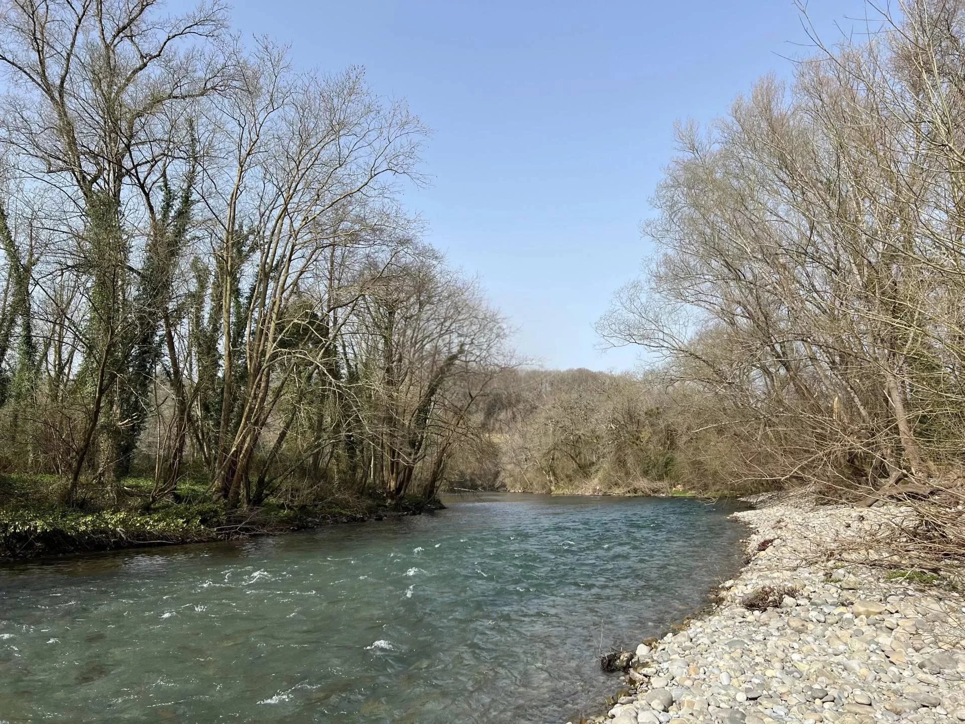 Maison 400m² de Maître sur 2 hectares - Sauveterre-de-Béarn (64390)