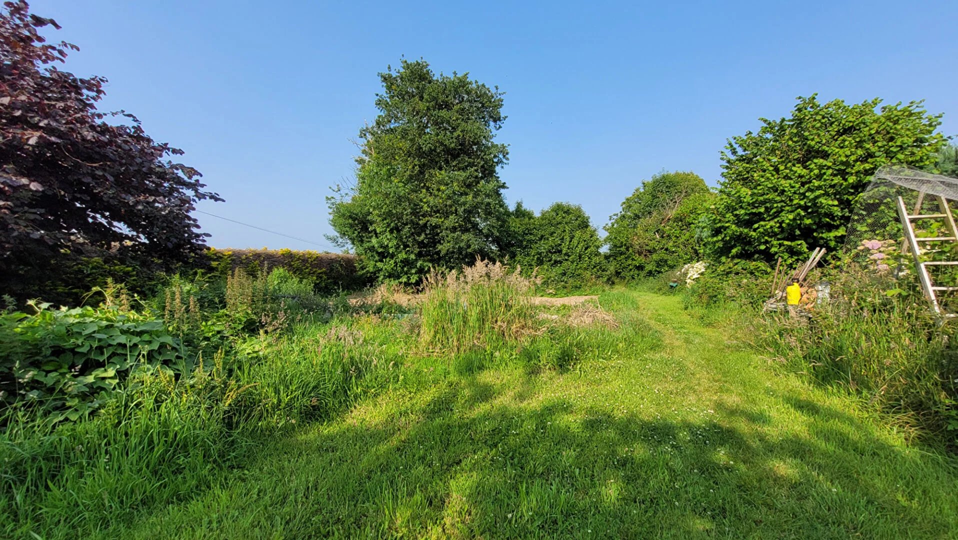 EXCLUSIVITÉ AGENCE DU QUAI - Concarneau - Terrain de 865 m² Constructible