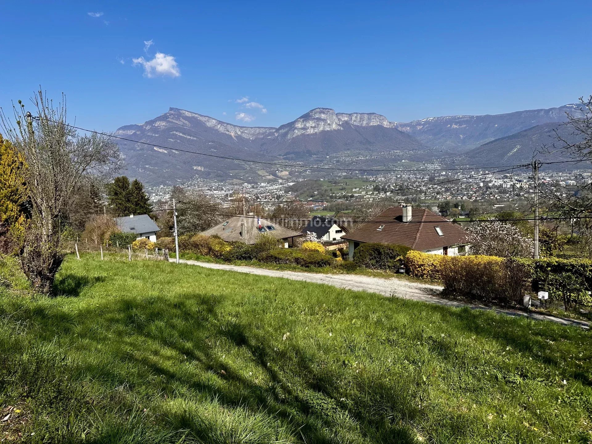 Agence immobilière de 