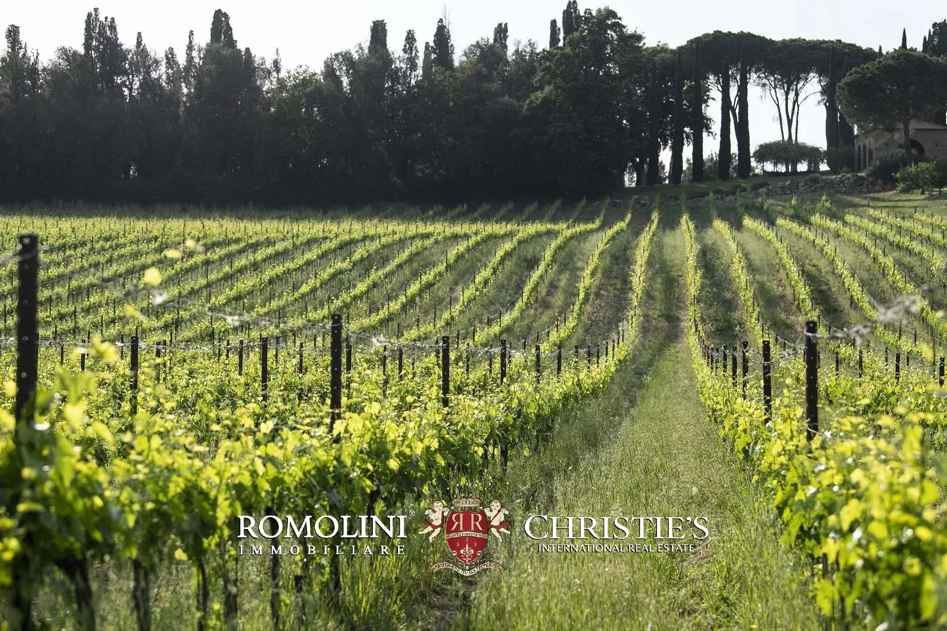 20 Bedroom Vineyard's Image 19
