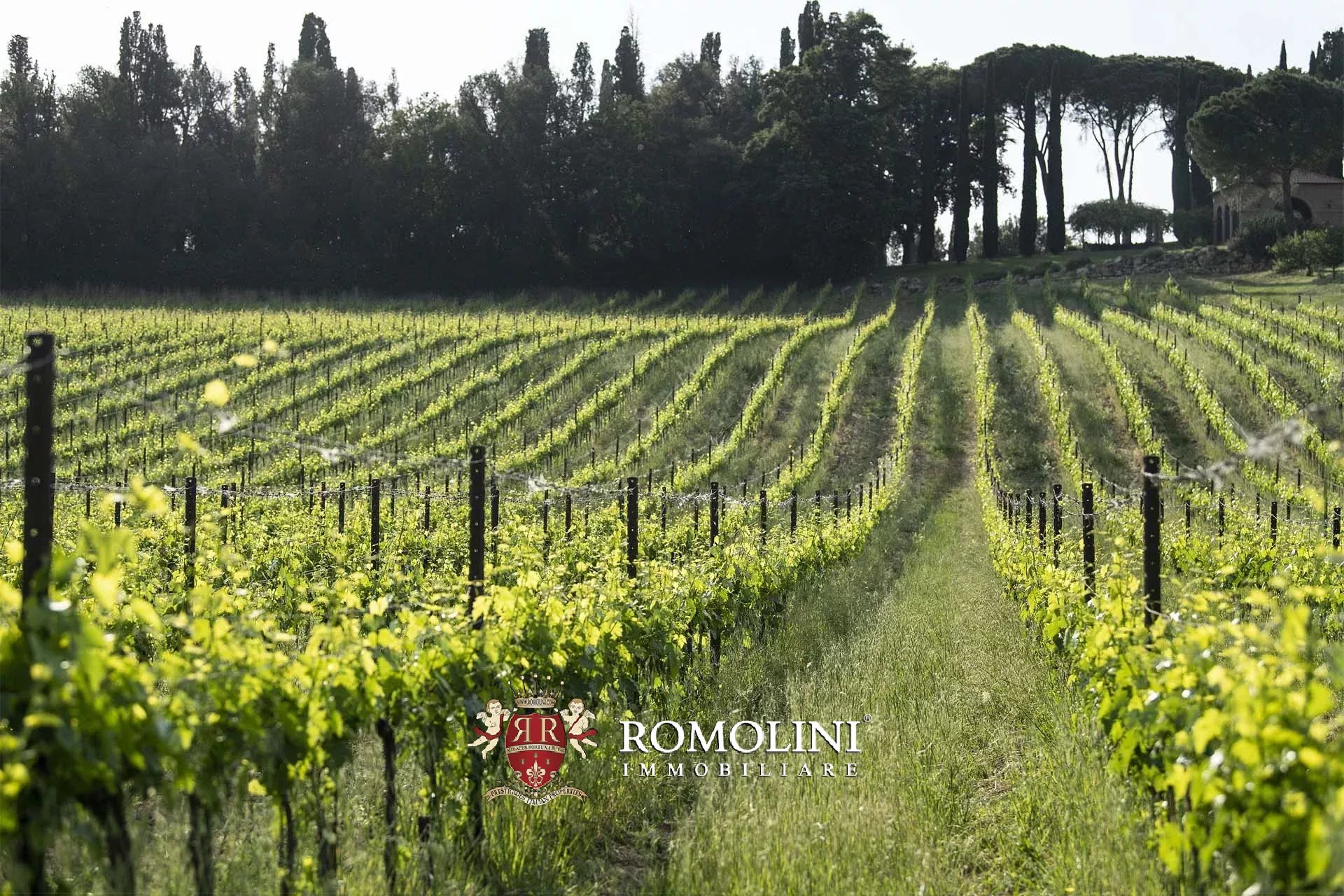 20 Bedroom Vineyard's Image 19