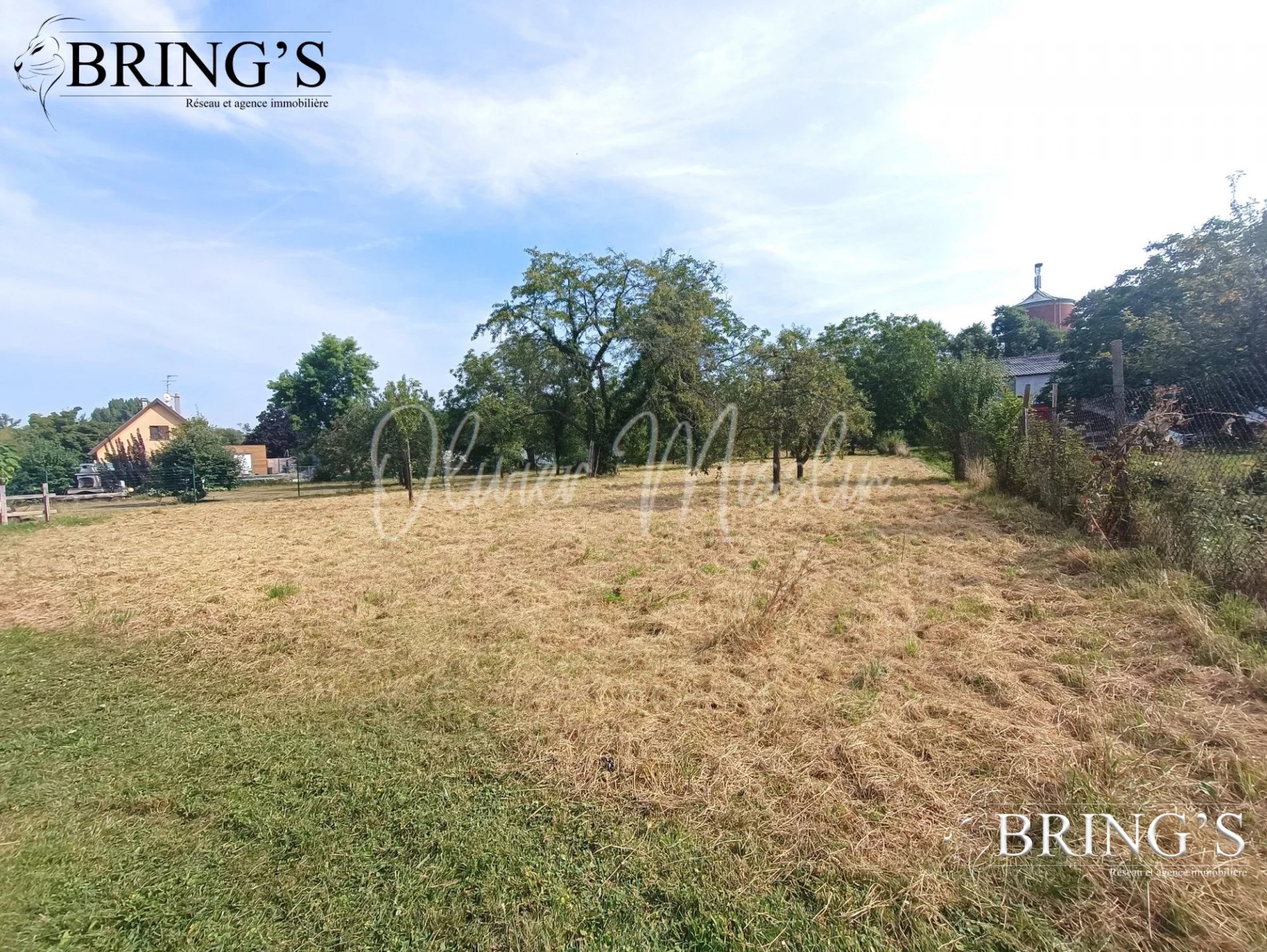 Vente Terrain constructible Ensisheim