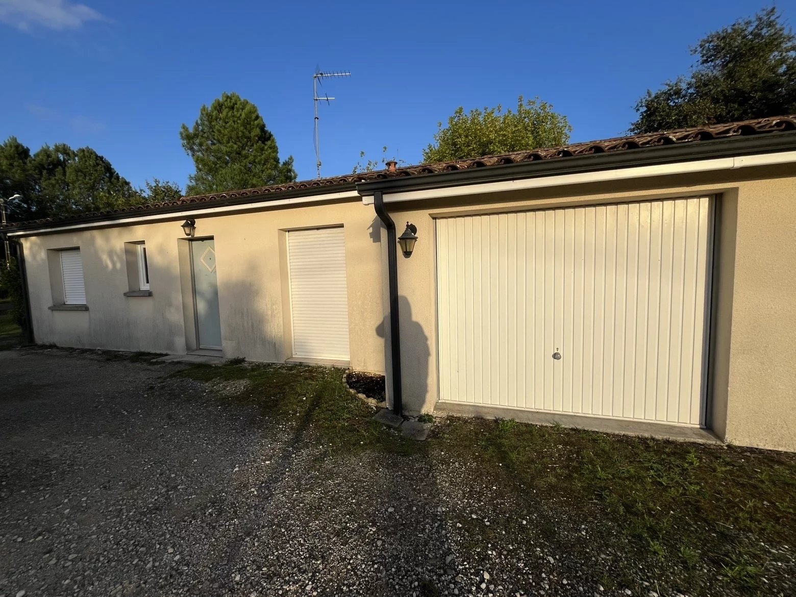 Agence immobilière de ROSER BEATRICE