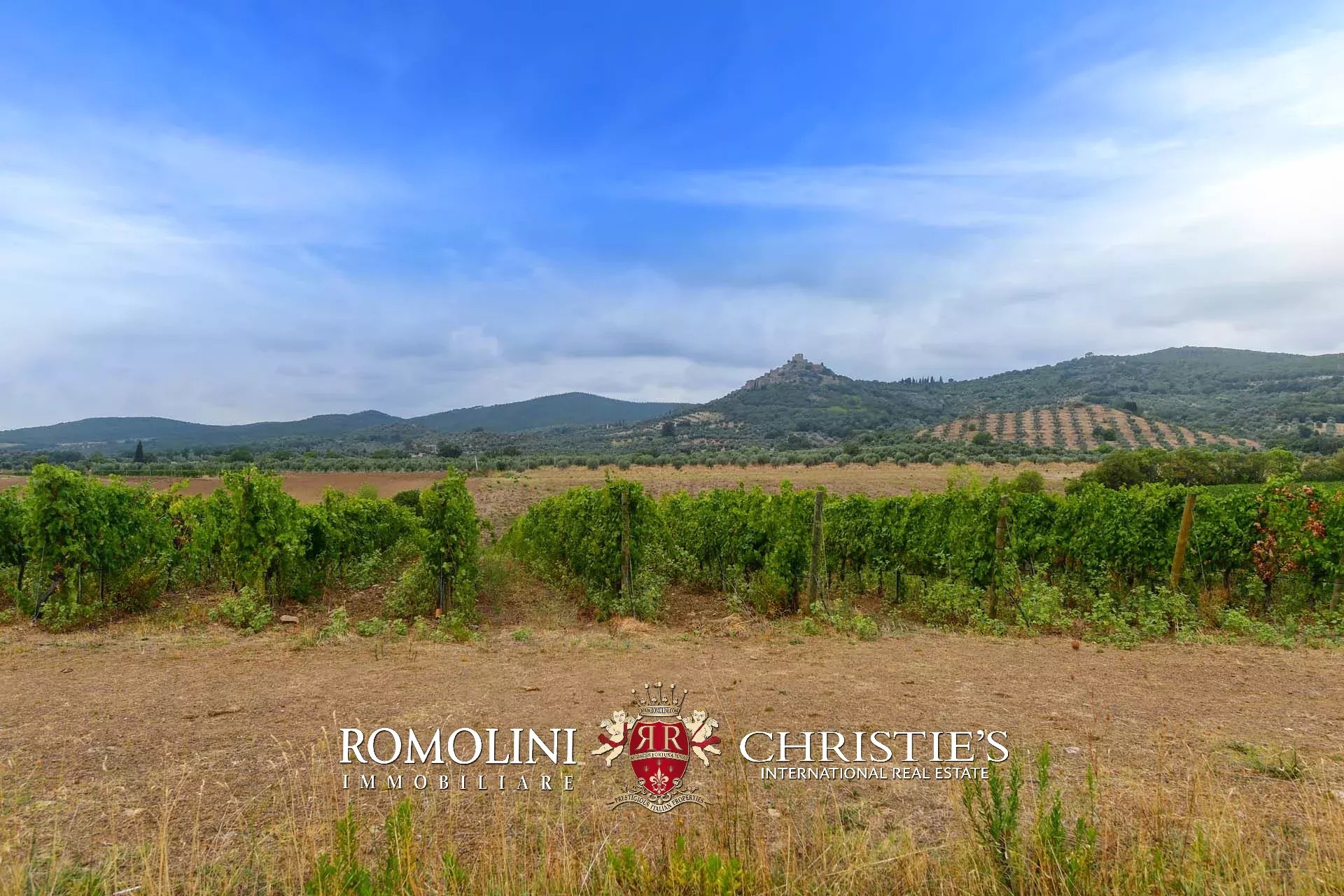5 Bedroom Vineyard's Image 4