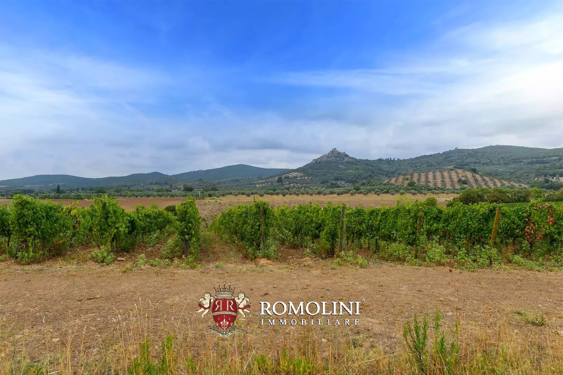 5 Bedroom Vineyard's Image 4