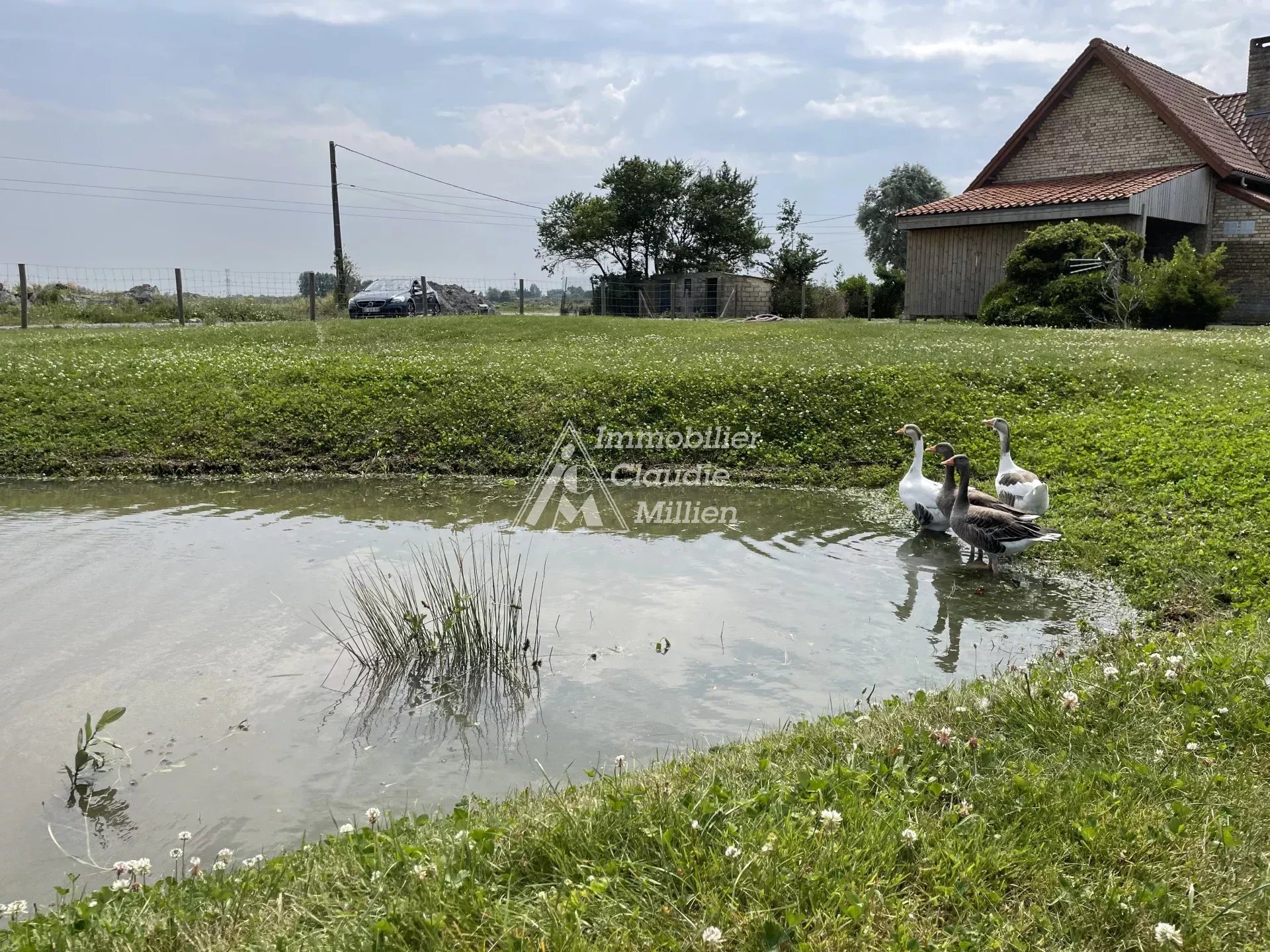 Vente Propriété Offekerque