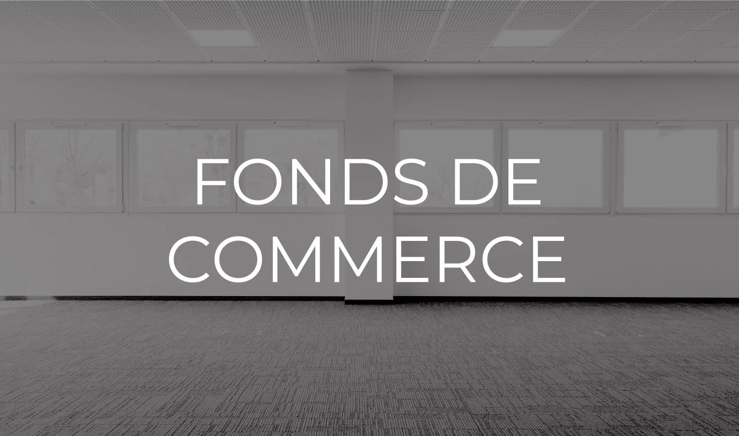 Fonds de commerce - Restaurant avec licence IV