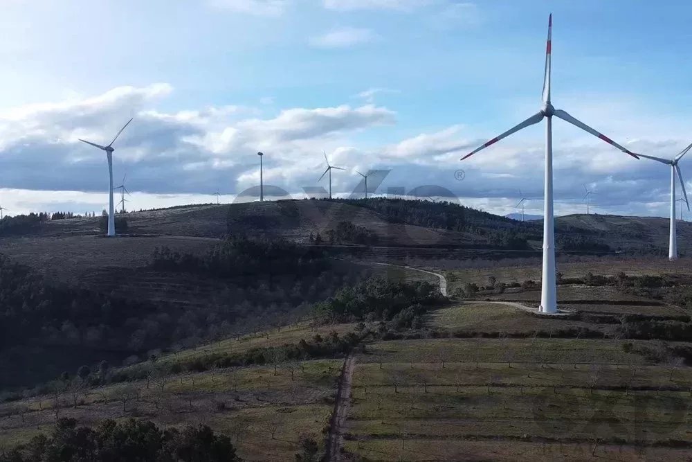 🏡 Oportunidade Imperdível – 4 Terrenos à Venda na Padrela, Valpaços (4 Hectares) 🌿