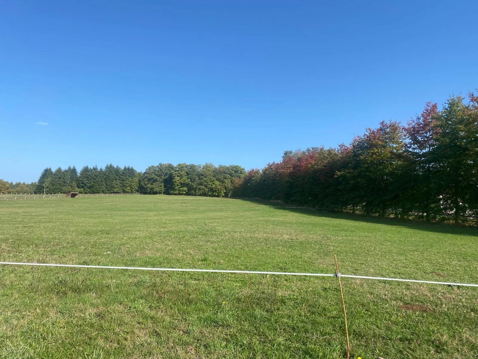 Vente Terrain Saint-Just-le-Martel