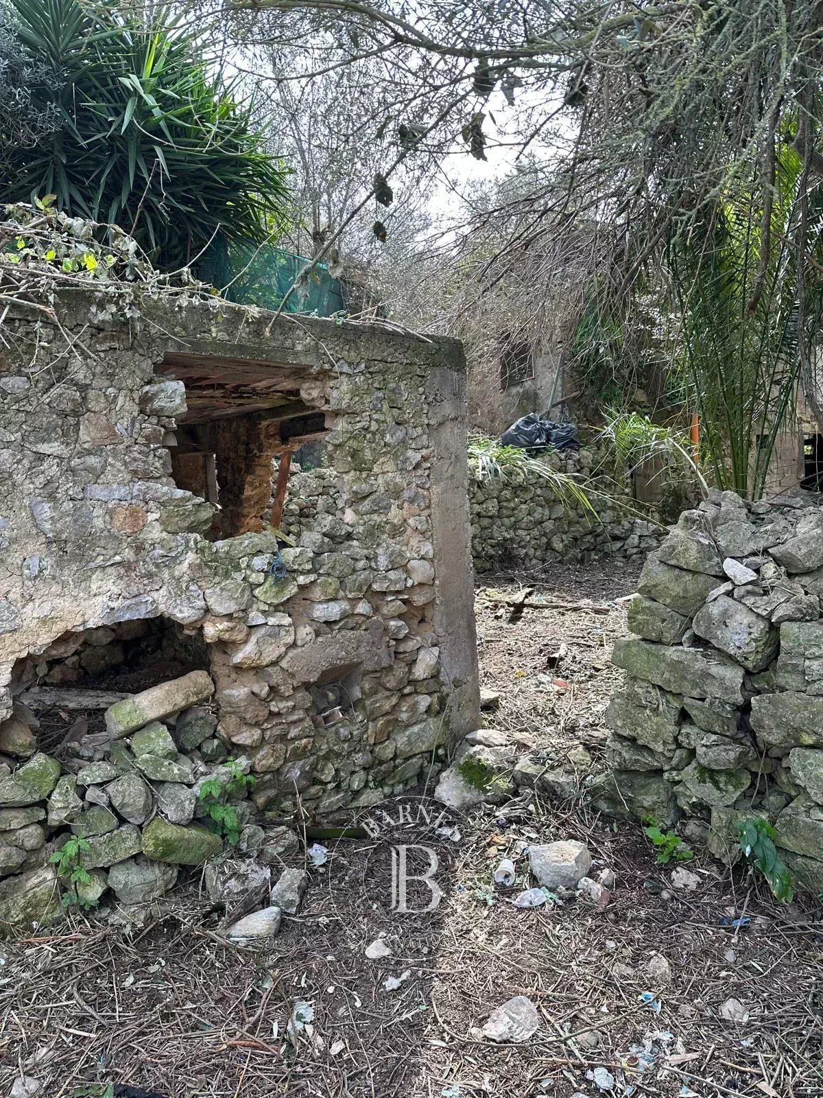 Casaletto in Anacapri - picture 8