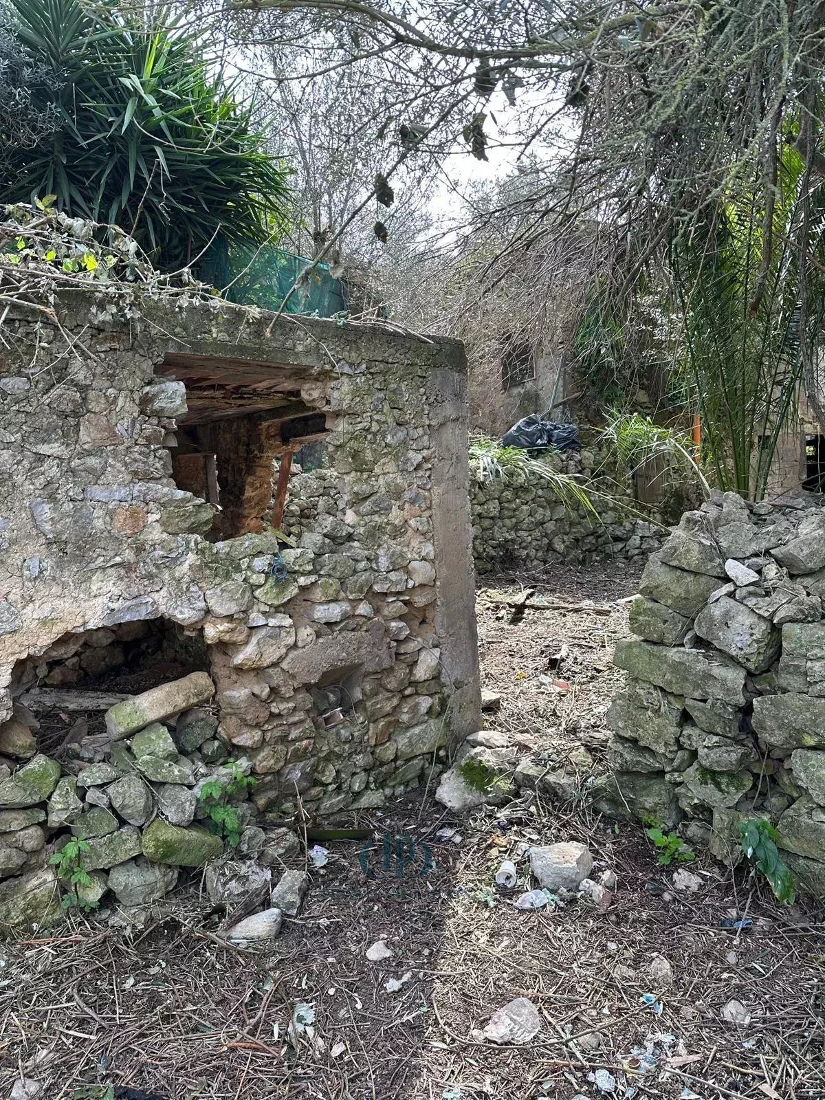 Kulübe Anacapri - picture 8