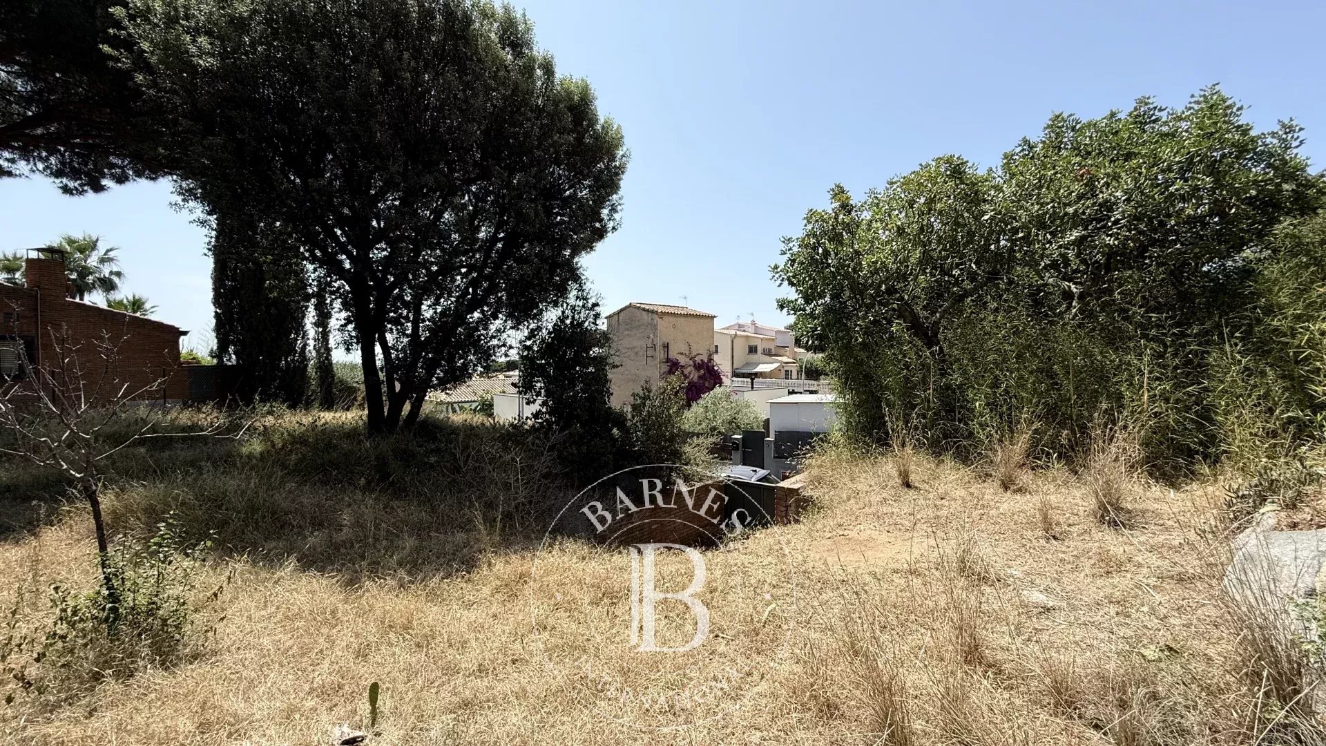 Arazi Premia de Dalt - picture 11