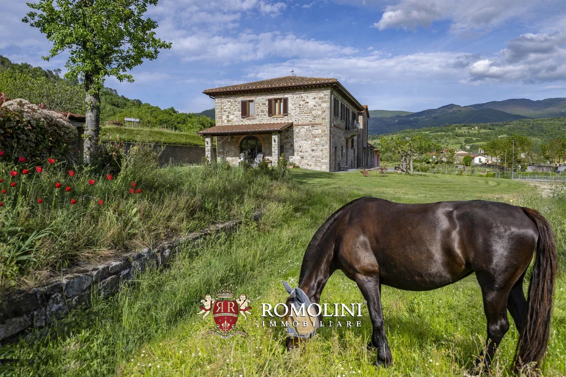 Property Slider Image