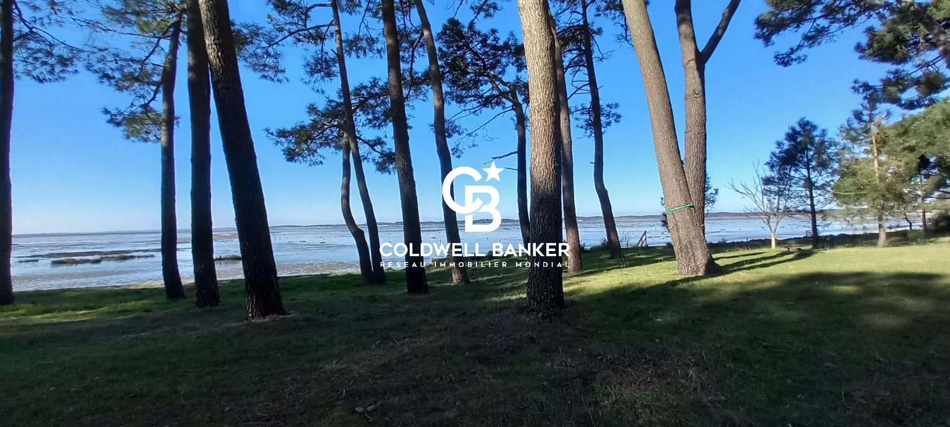 Agence immobilière de Silver Coast Int. Realty