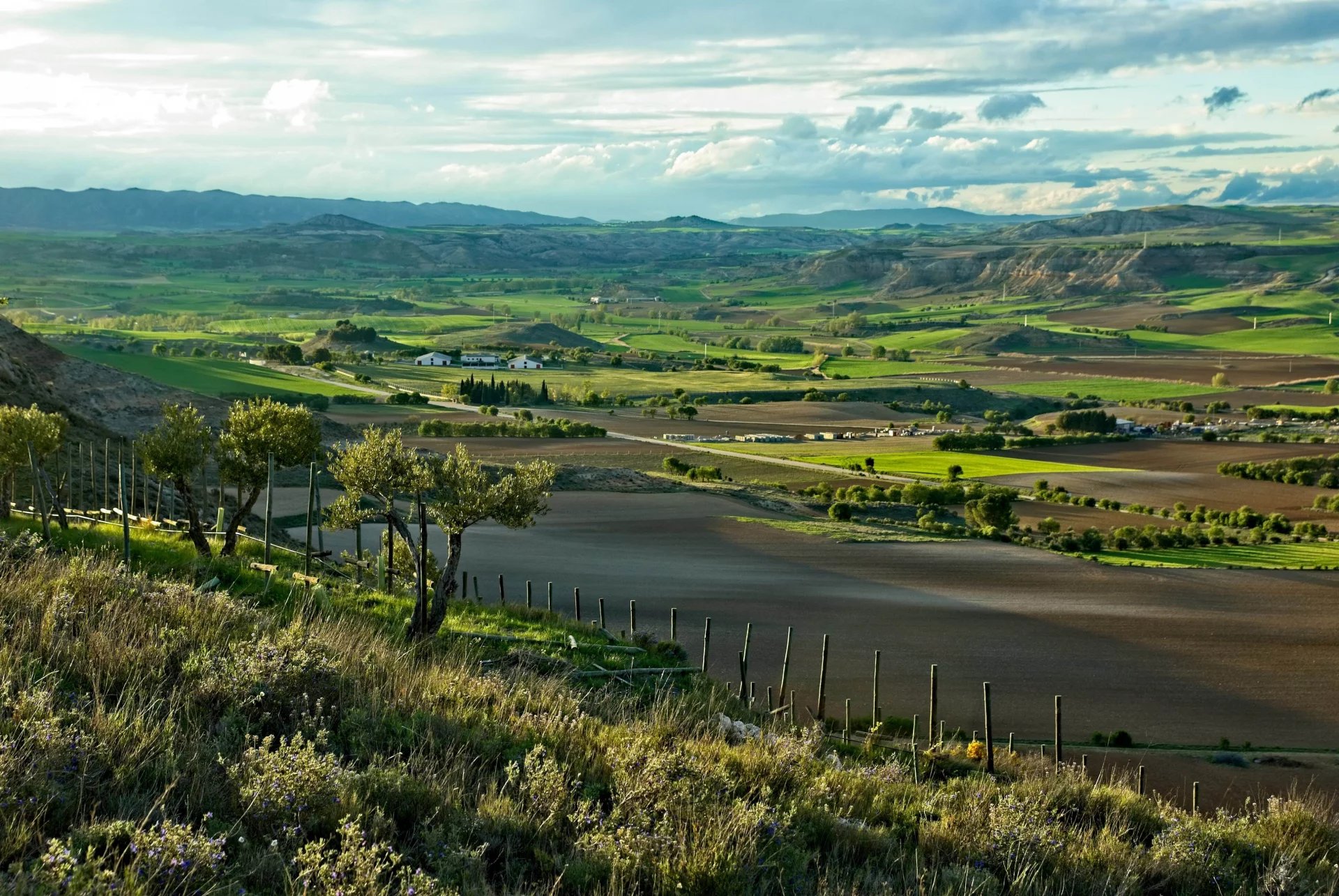 Sale Vineyard property Cuenca