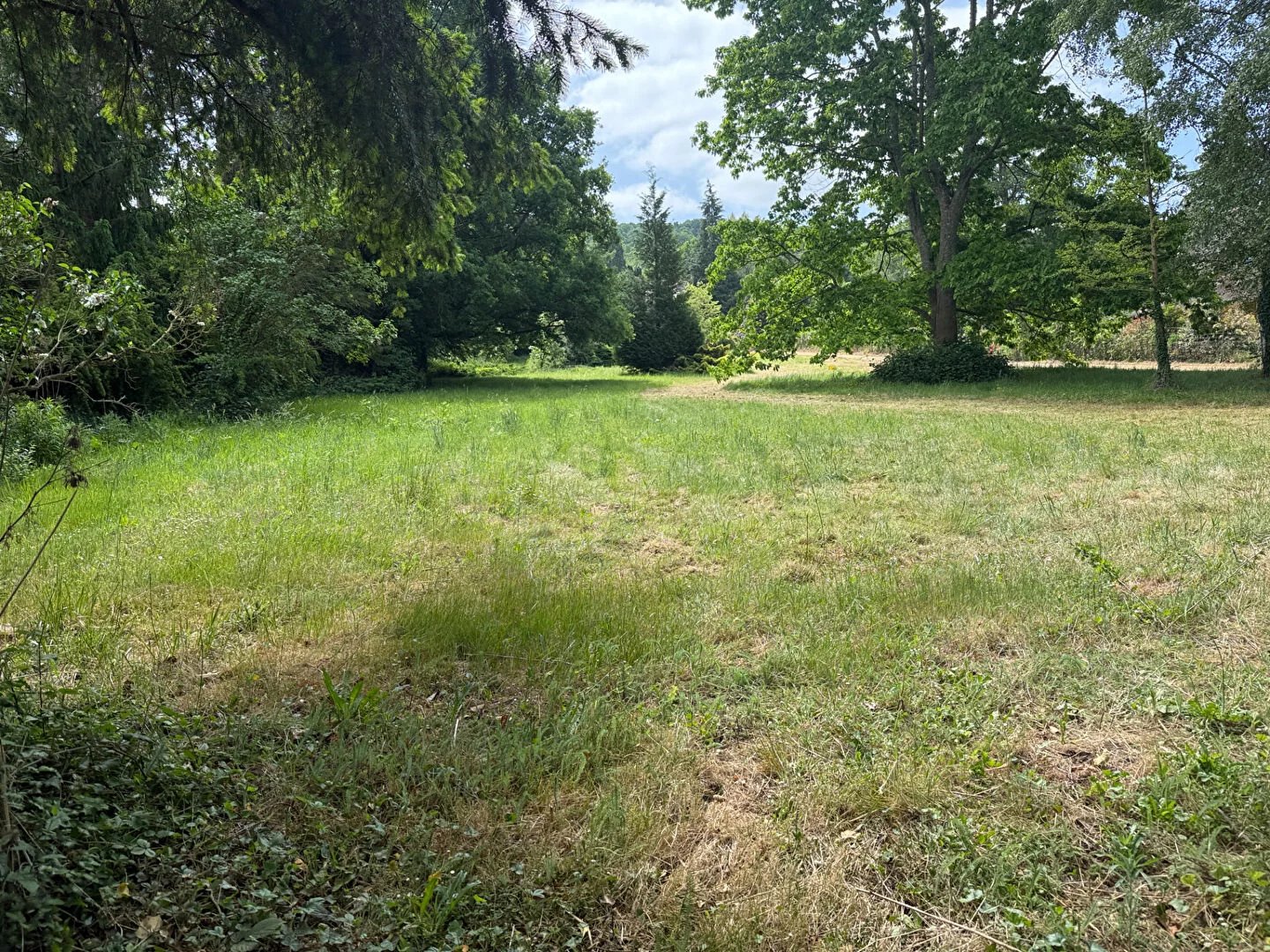 Vente Terrain Chevreuse