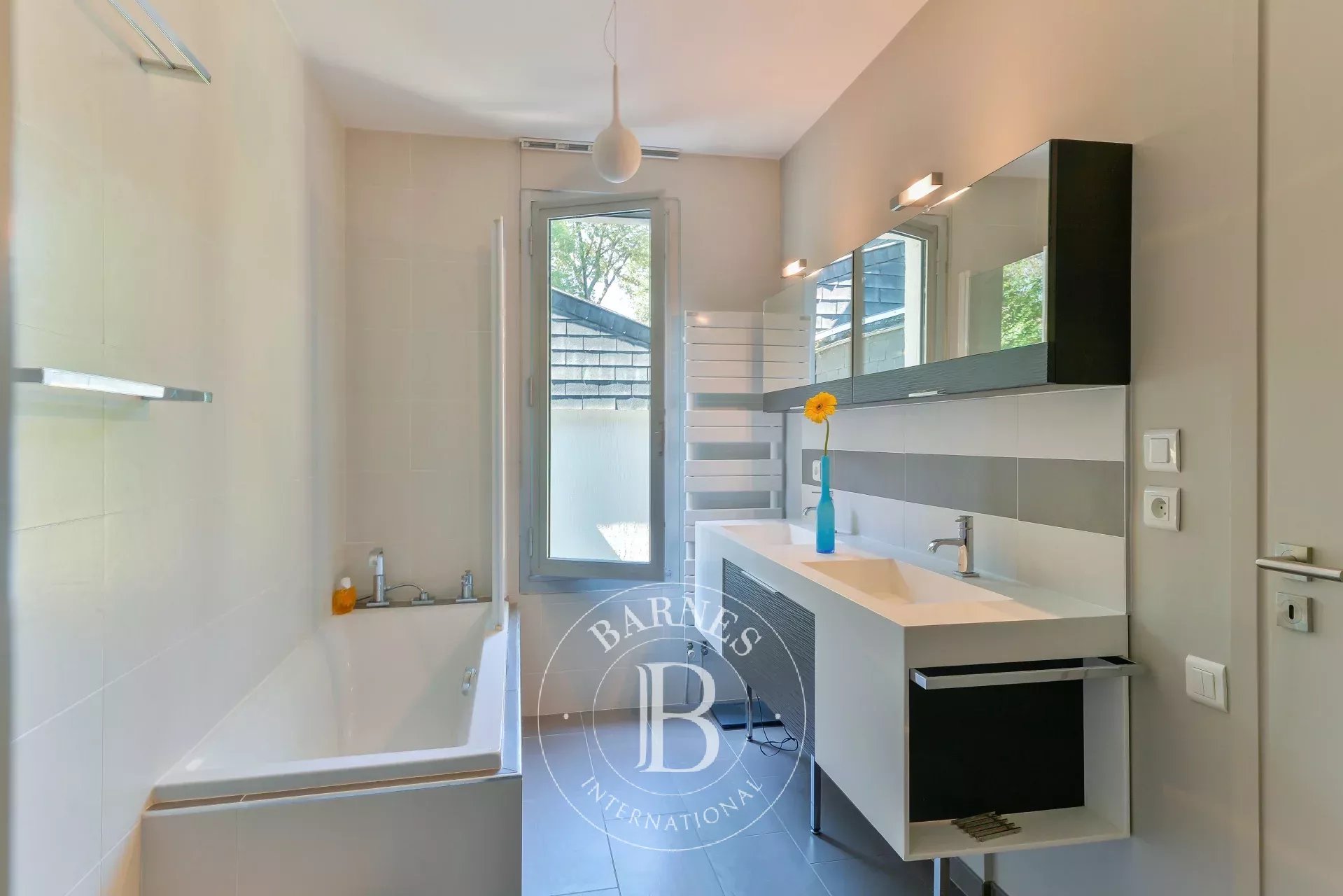 Ev Tassin-la-Demi-Lune - picture 16