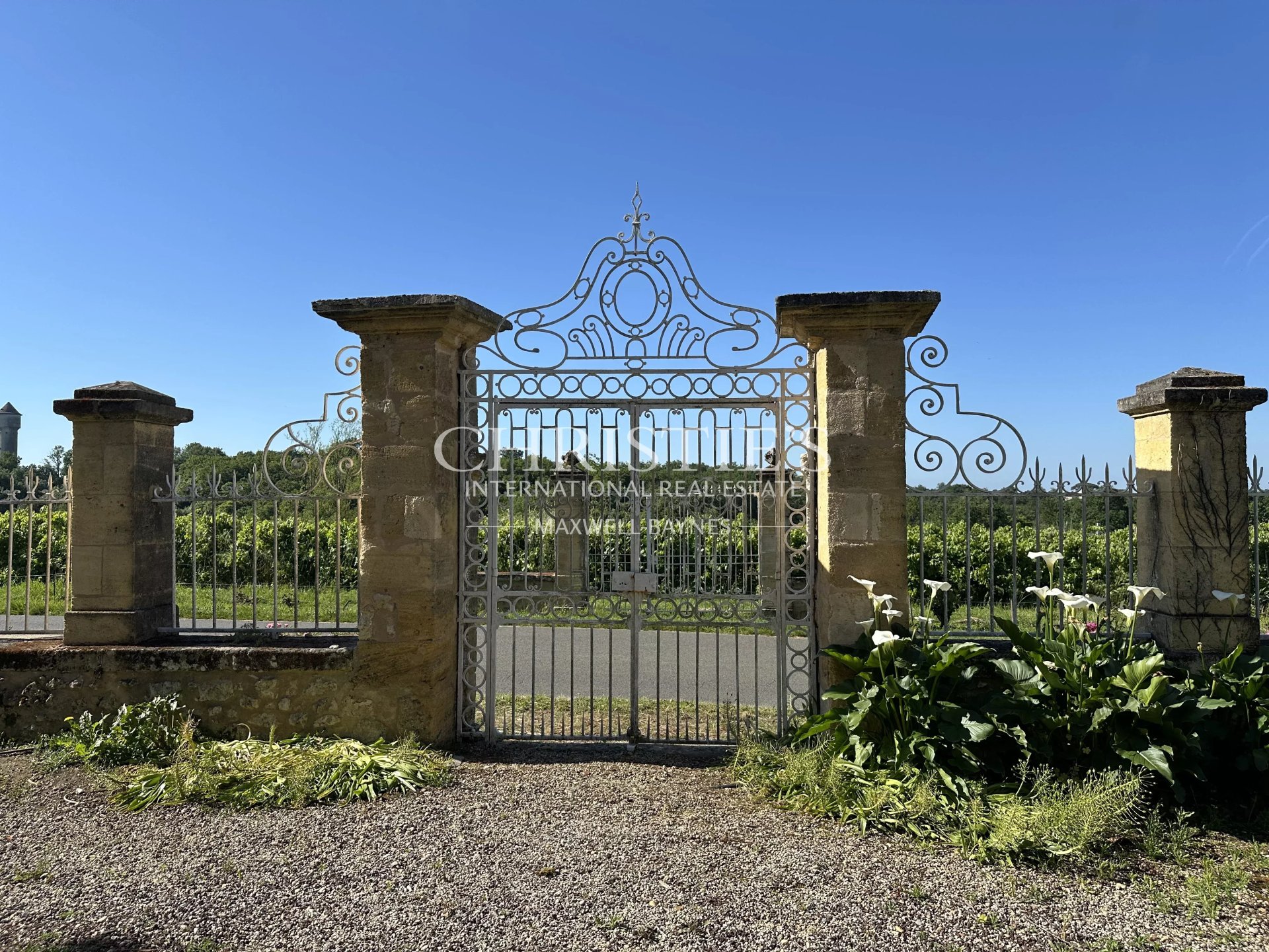 7 Bedroom Vineyard's Image 10