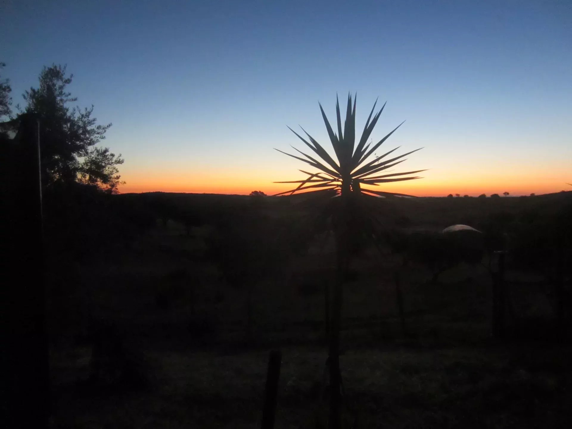 Herdade Cativante in Alentejo: A Tourist Investment with Immeasurable Potential 🌿✨ 86362095 image 80