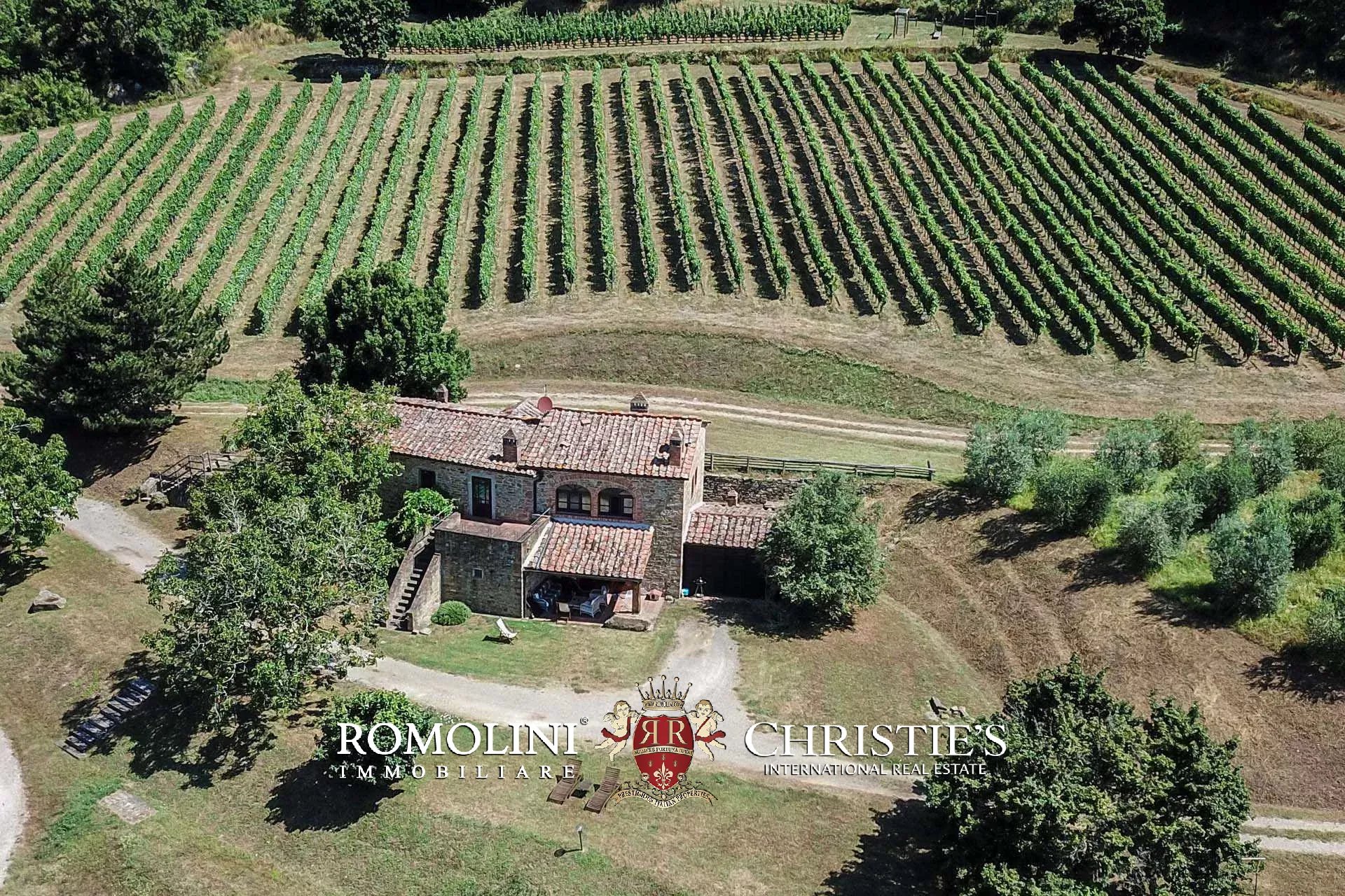TENUTA VINICOLA BIOLOGICA IN VENDITA, CANTINA BIO TOSCANA