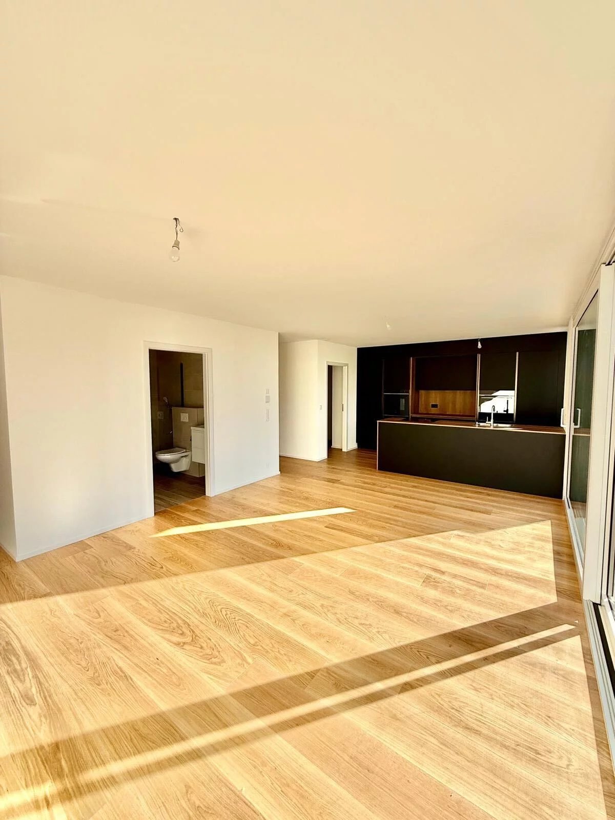 Splendide attique 3.5 pièces neuf à Sion