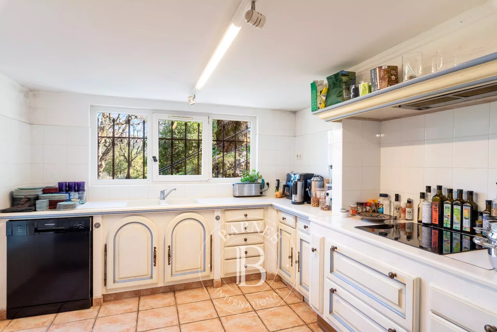 Ev Mougins - picture 15