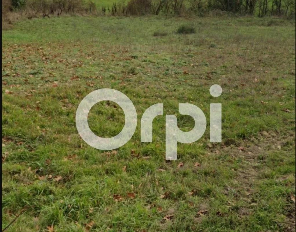 Vente Terrain Quint-Fonsegrives