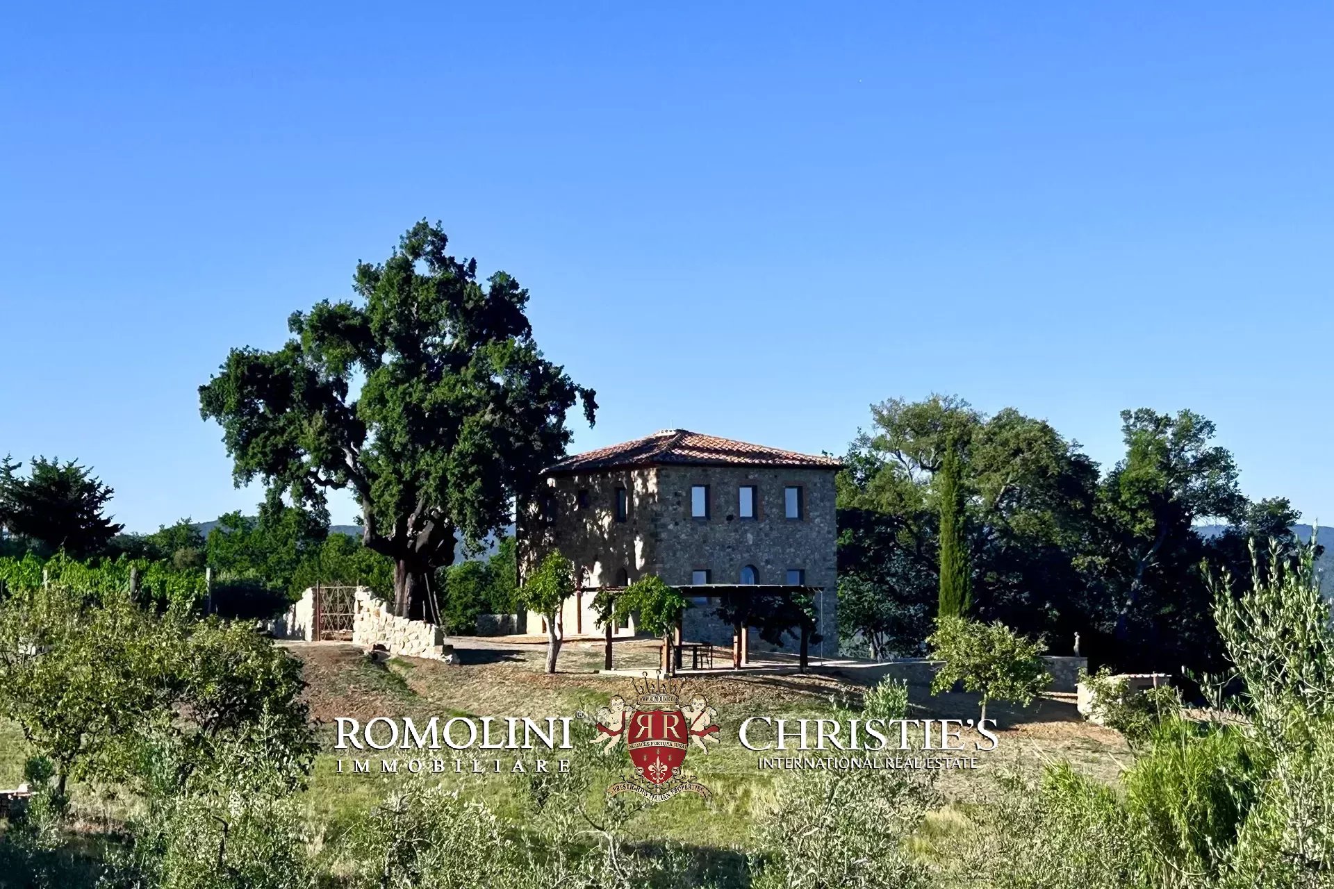 Property Slider Image
