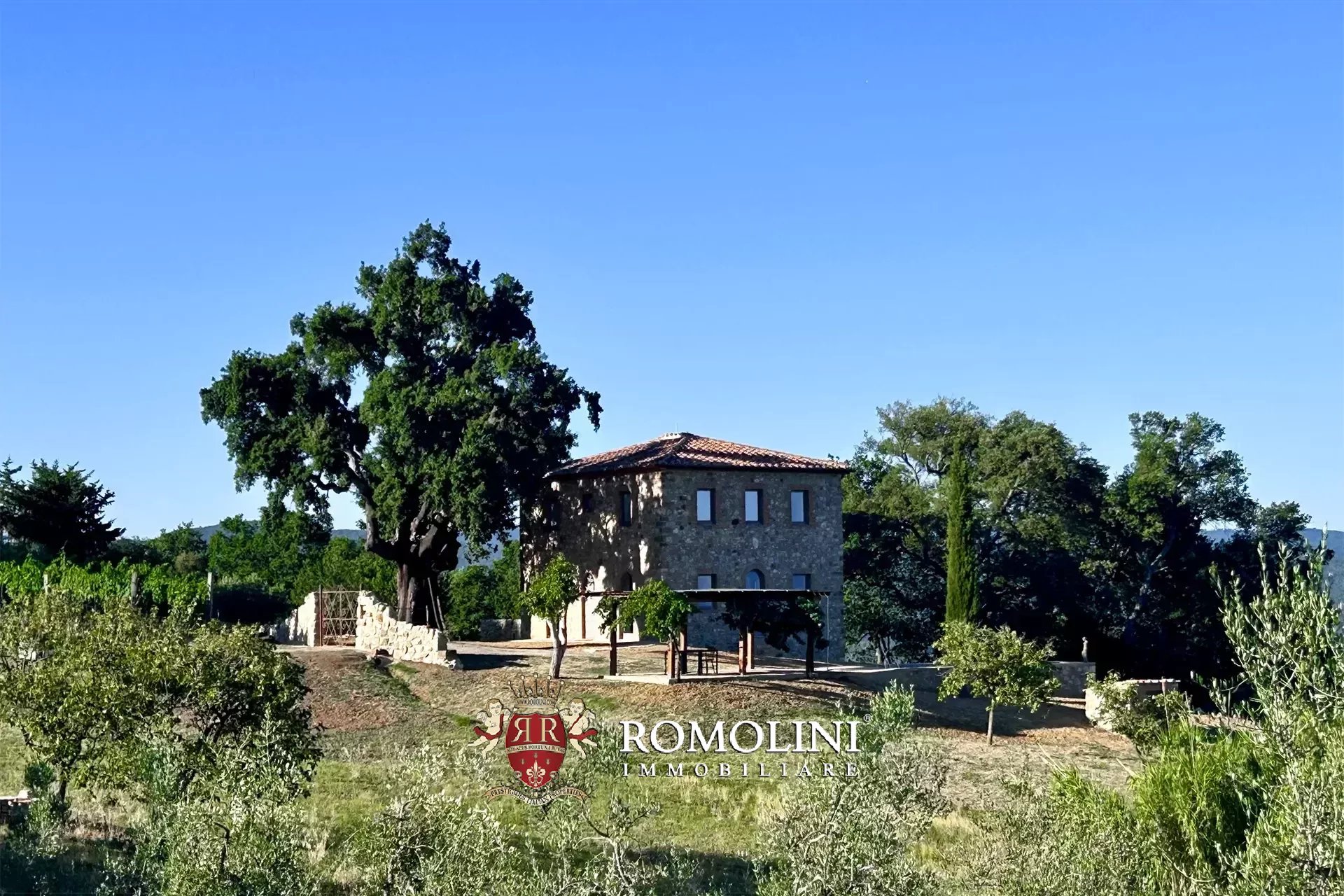 Property Slider Image