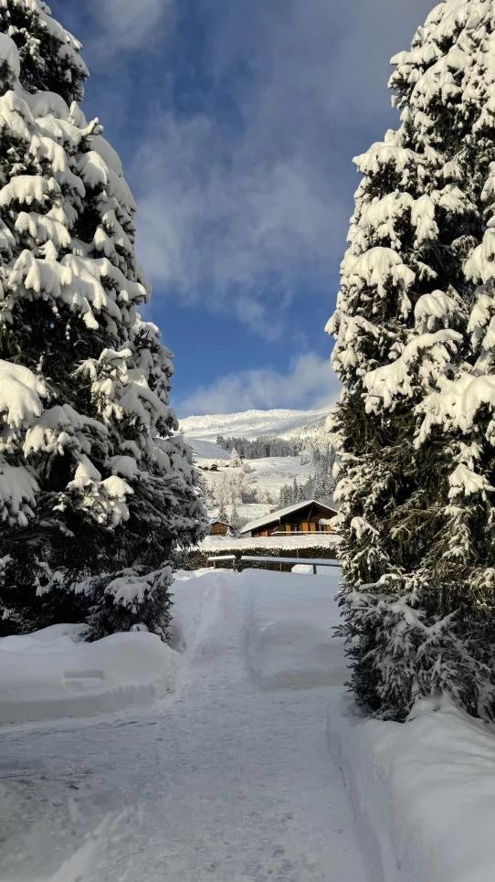 Rez-de-jardin parfaitement rénové