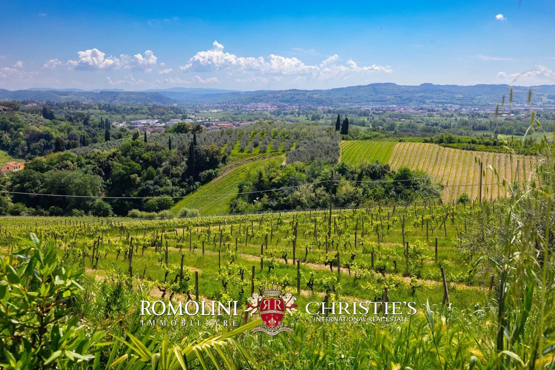 30 Bedroom Vineyard's Image 64