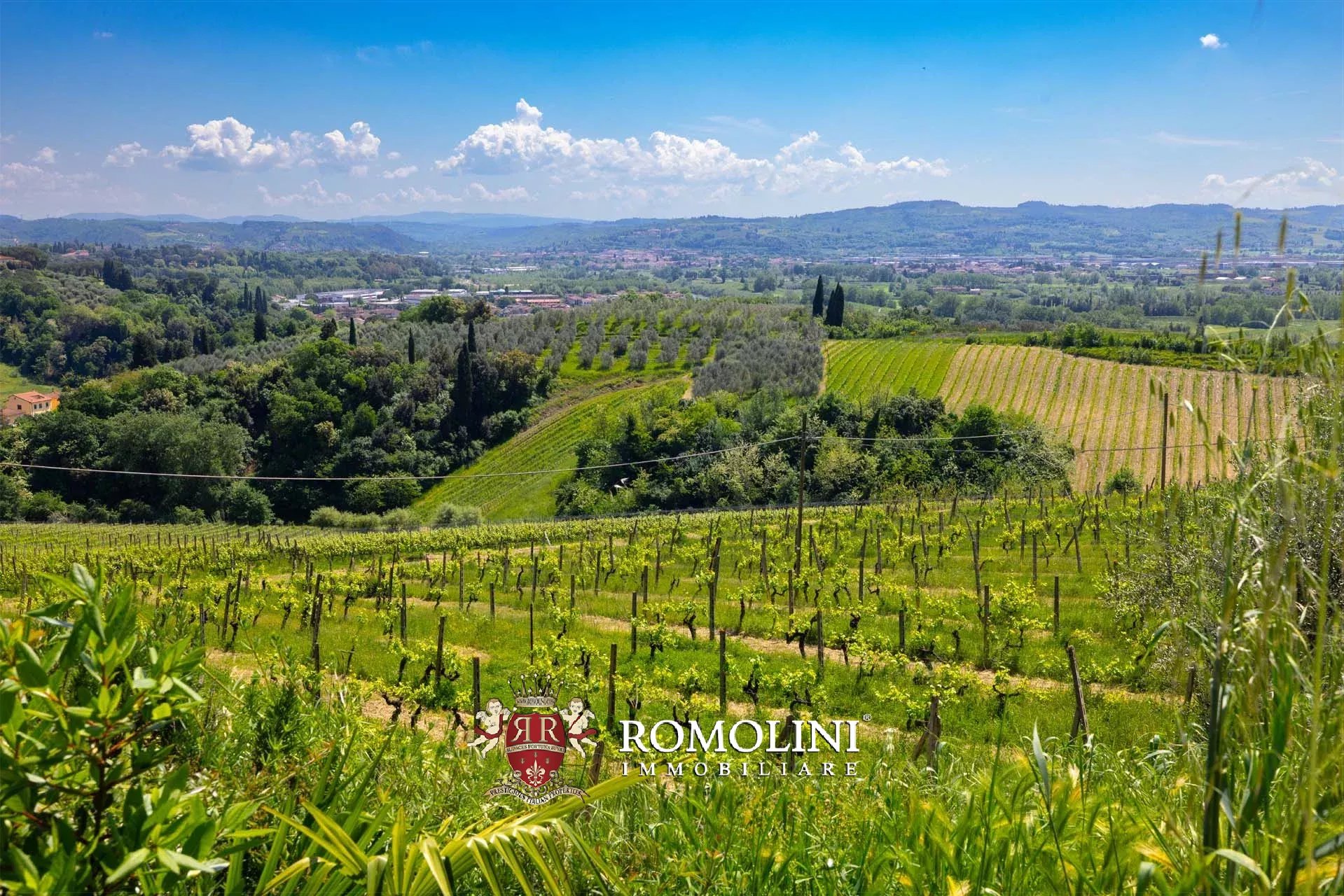30 Bedroom Vineyard's Image 64