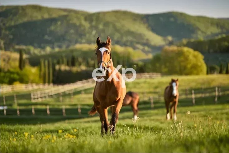  Cadorago COME 22071