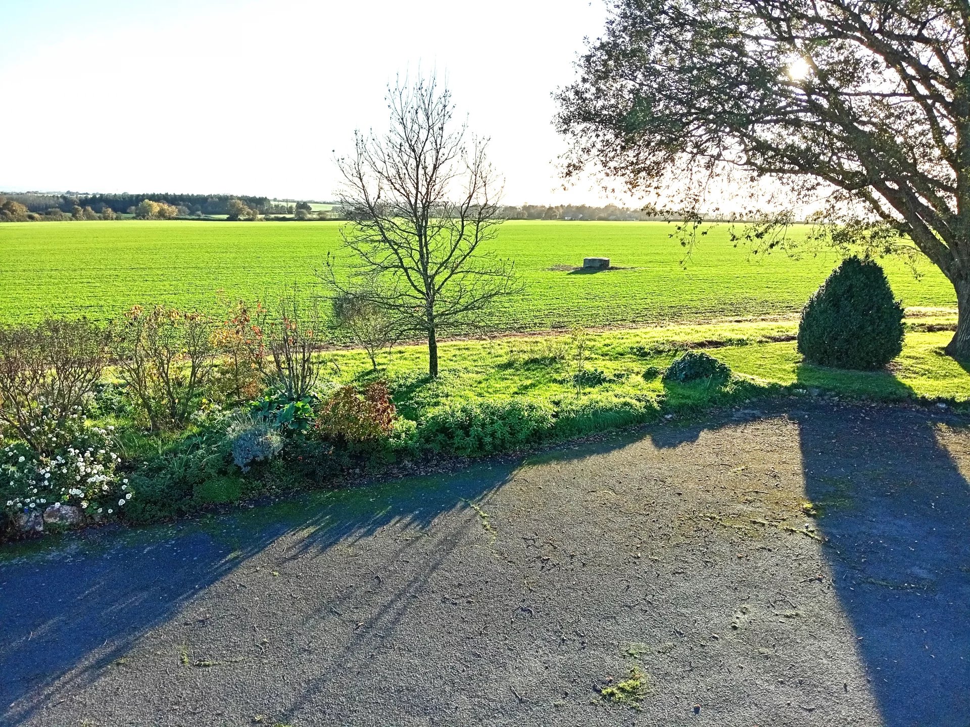 Sale House Mésanger